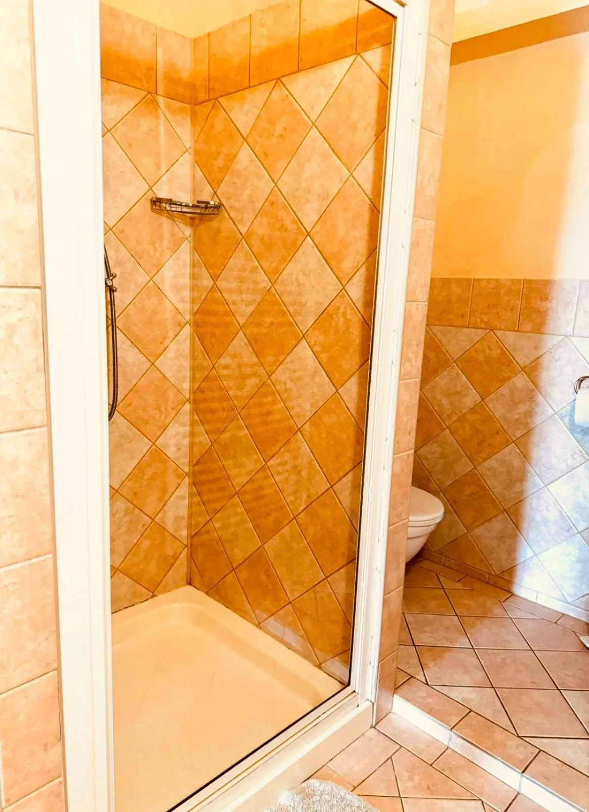 Toilet in Hotel Maxim