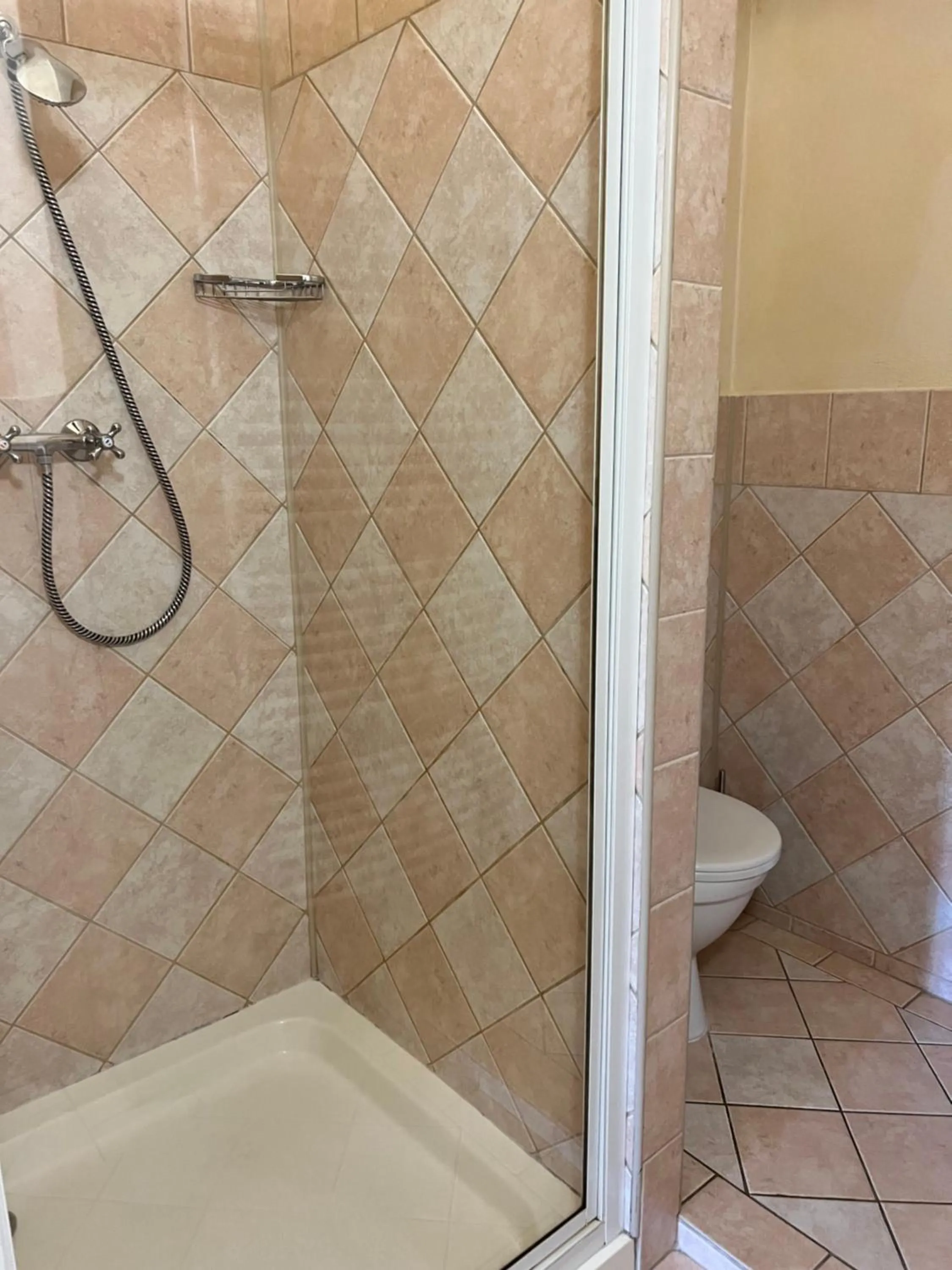 Shower in Hotel Maxim