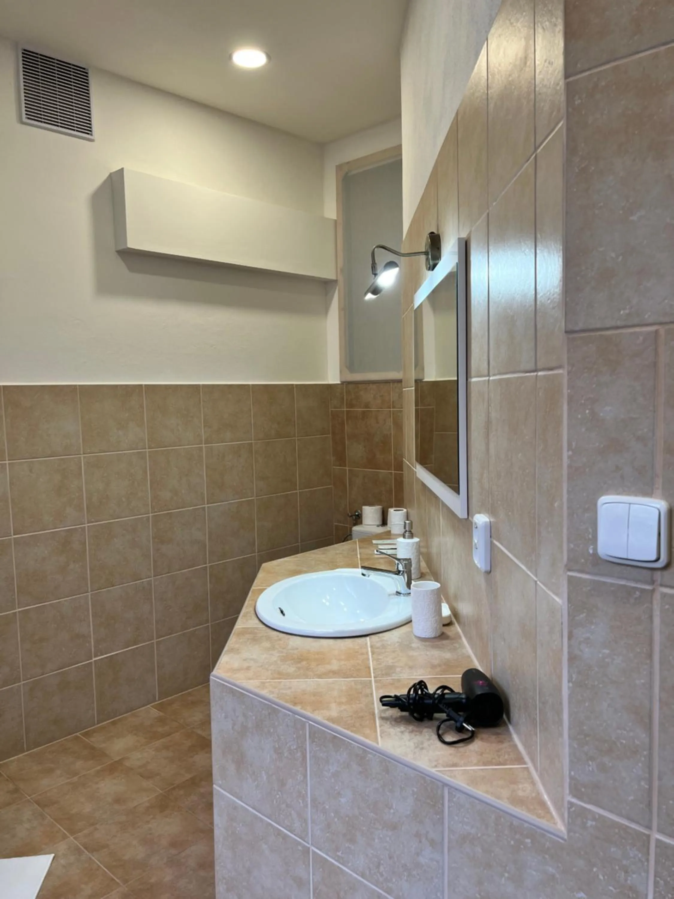 Bathroom in Hotel Maxim