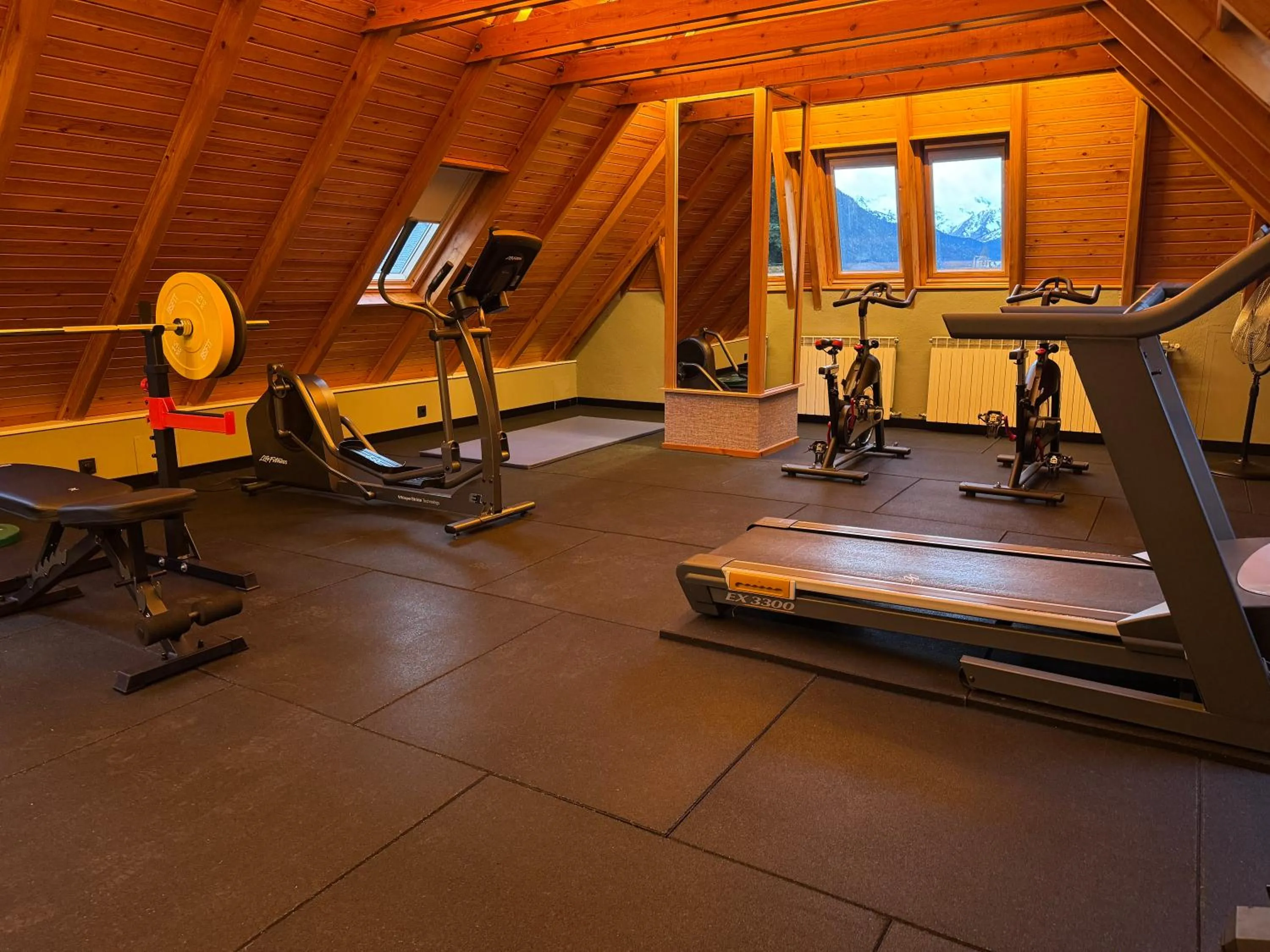 Fitness centre/facilities in Hotel Petit Lacreu