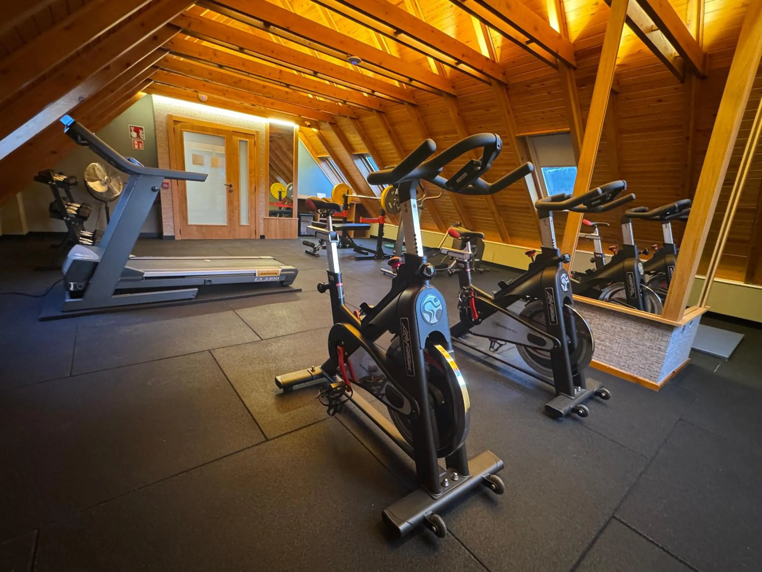 Fitness centre/facilities in Hotel Petit Lacreu