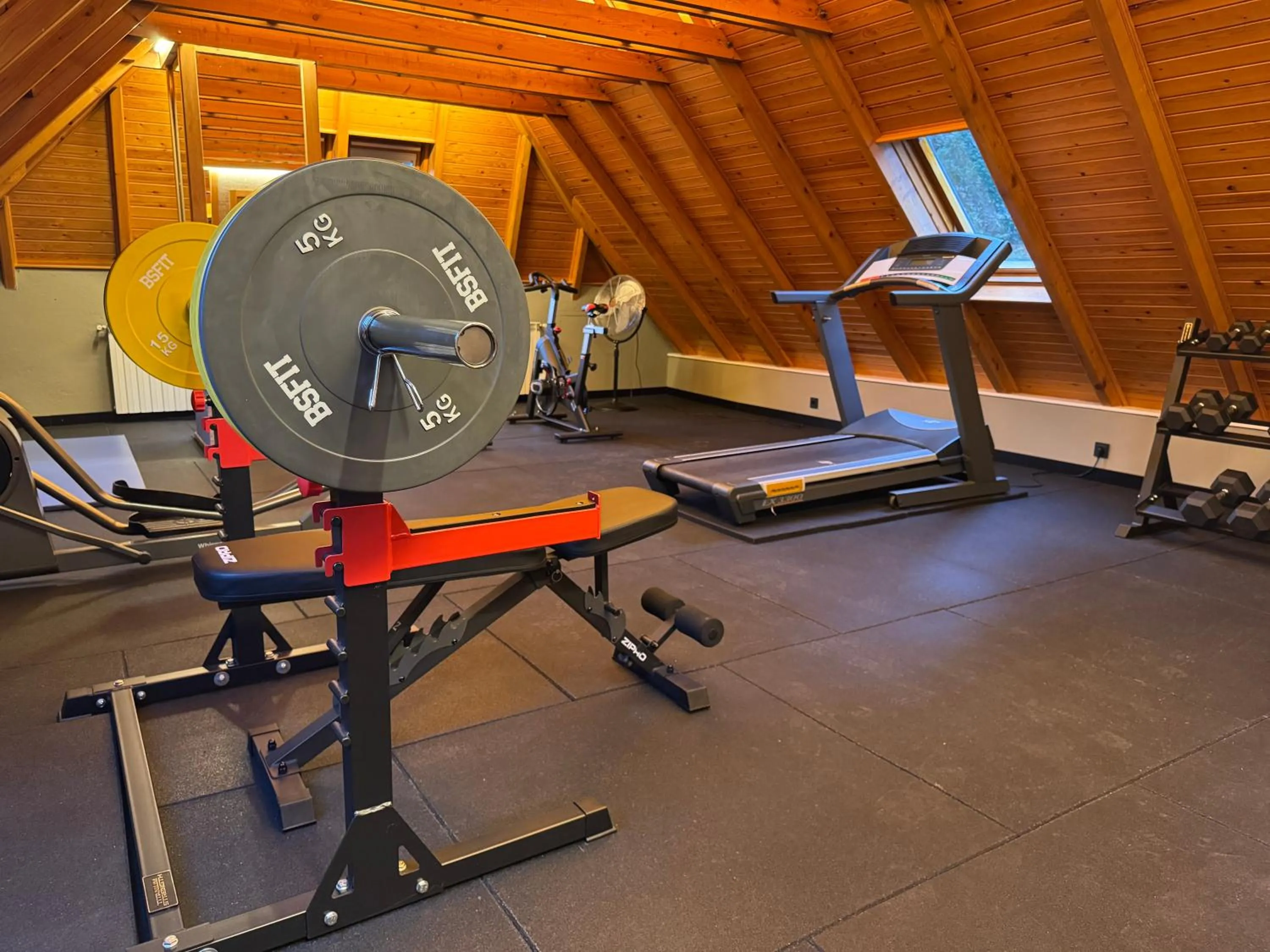 Fitness centre/facilities in Hotel Petit Lacreu