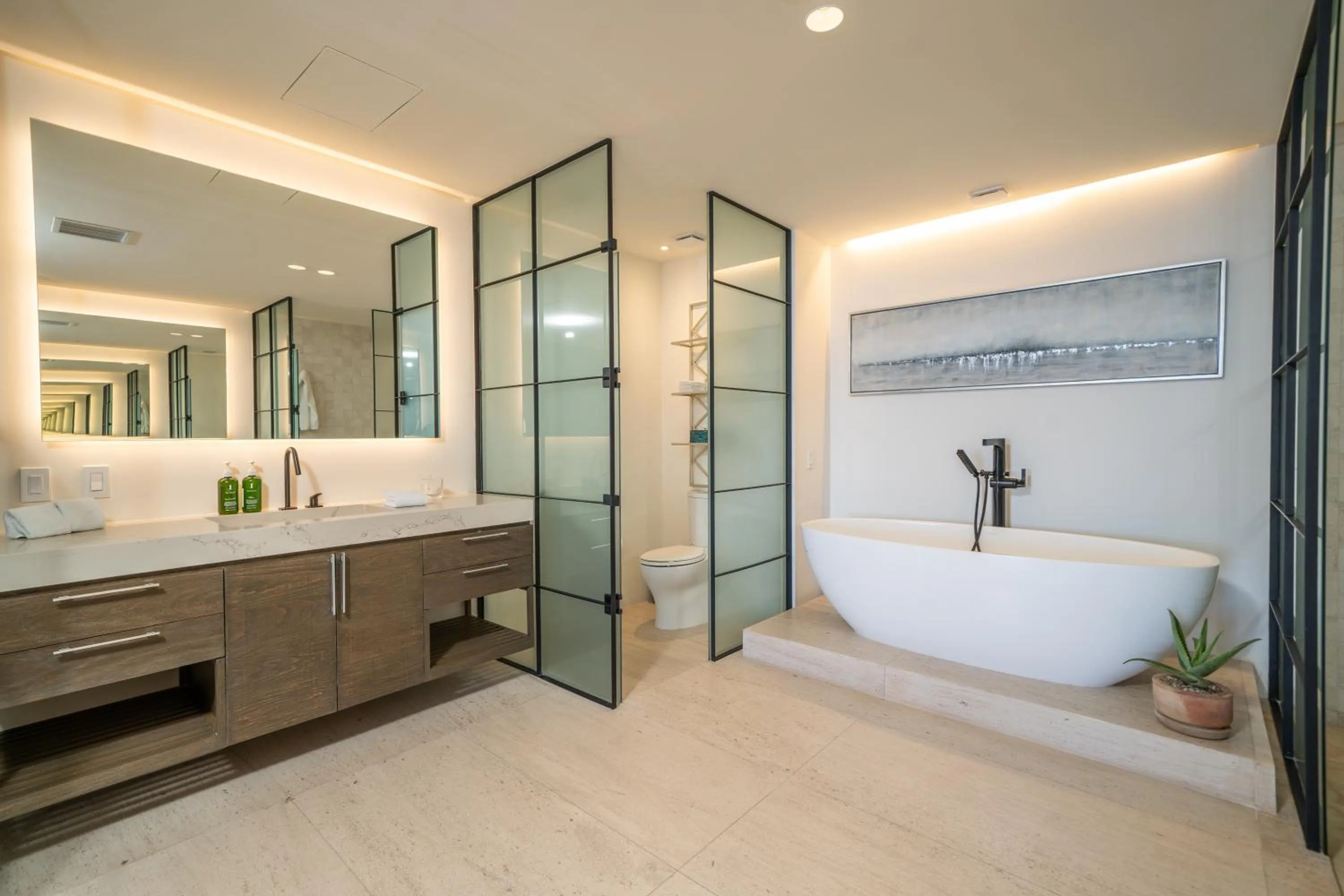 Shower in 1 Homes Preview Cabo