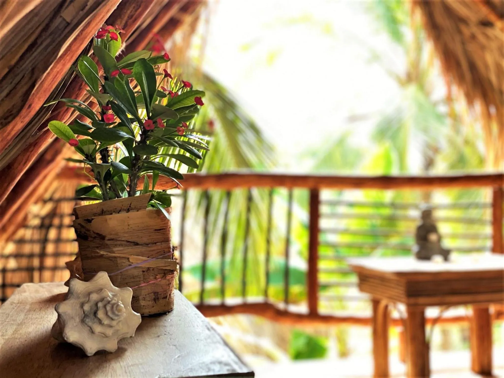 Garden view in Isla Fuerte - Wiji Island House