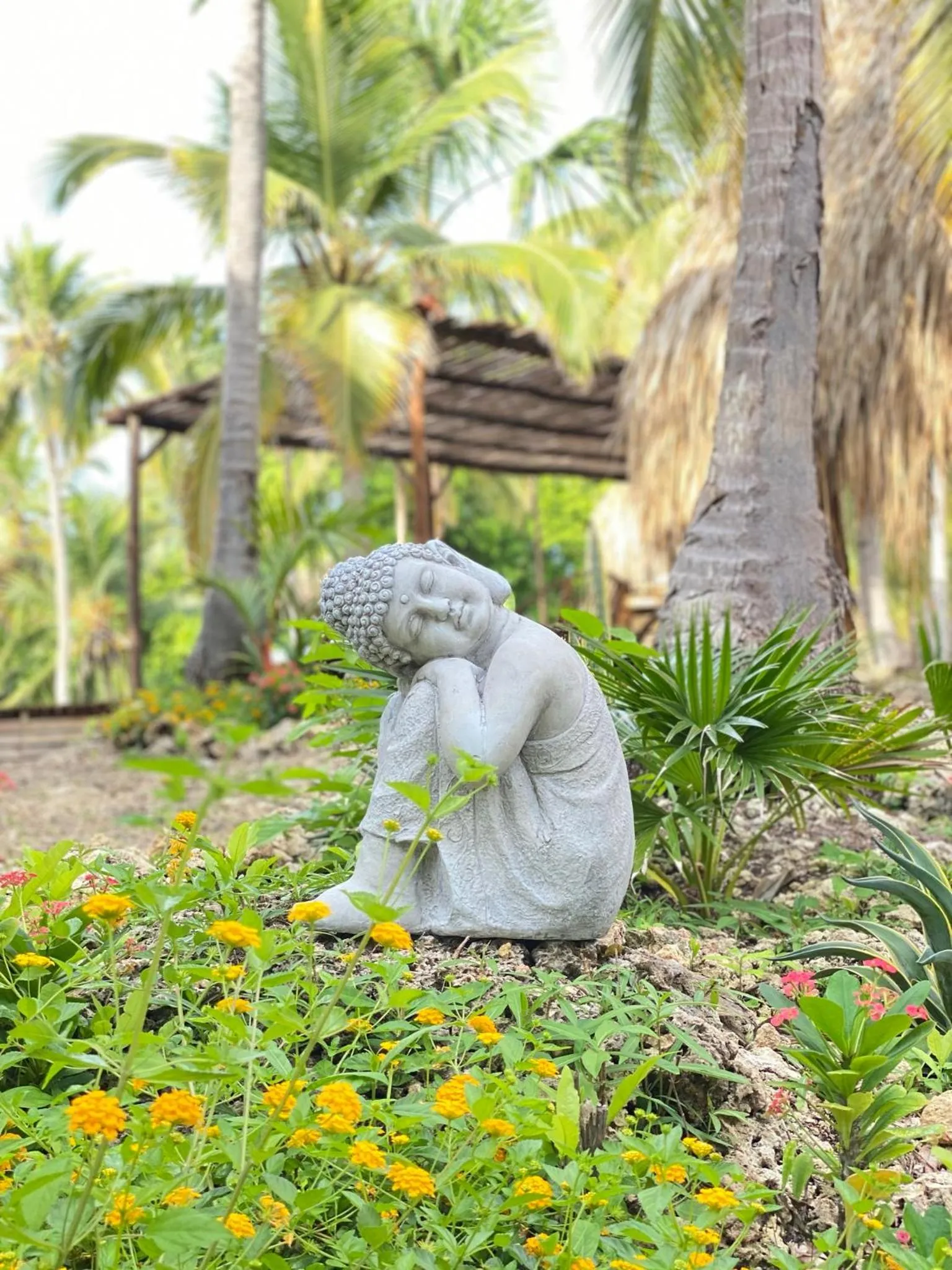 Garden in Isla Fuerte - Wiji Island House