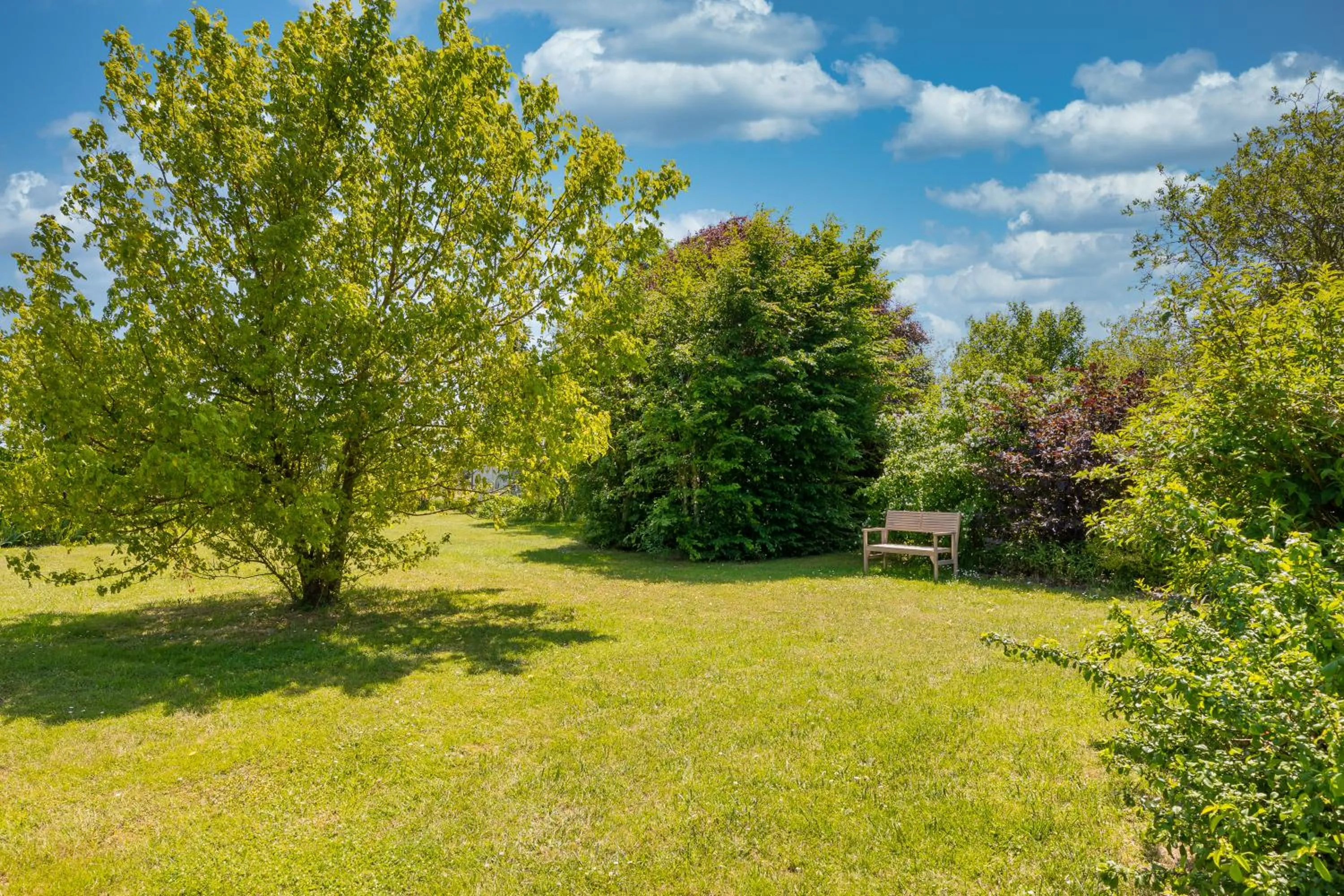 Garden in Villa Hotel