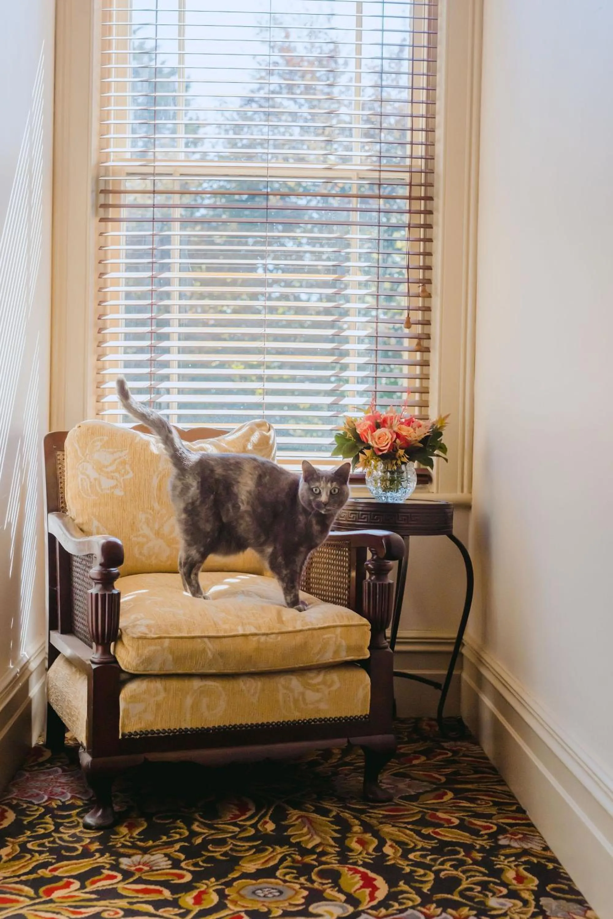 Staff in Casa Nova House