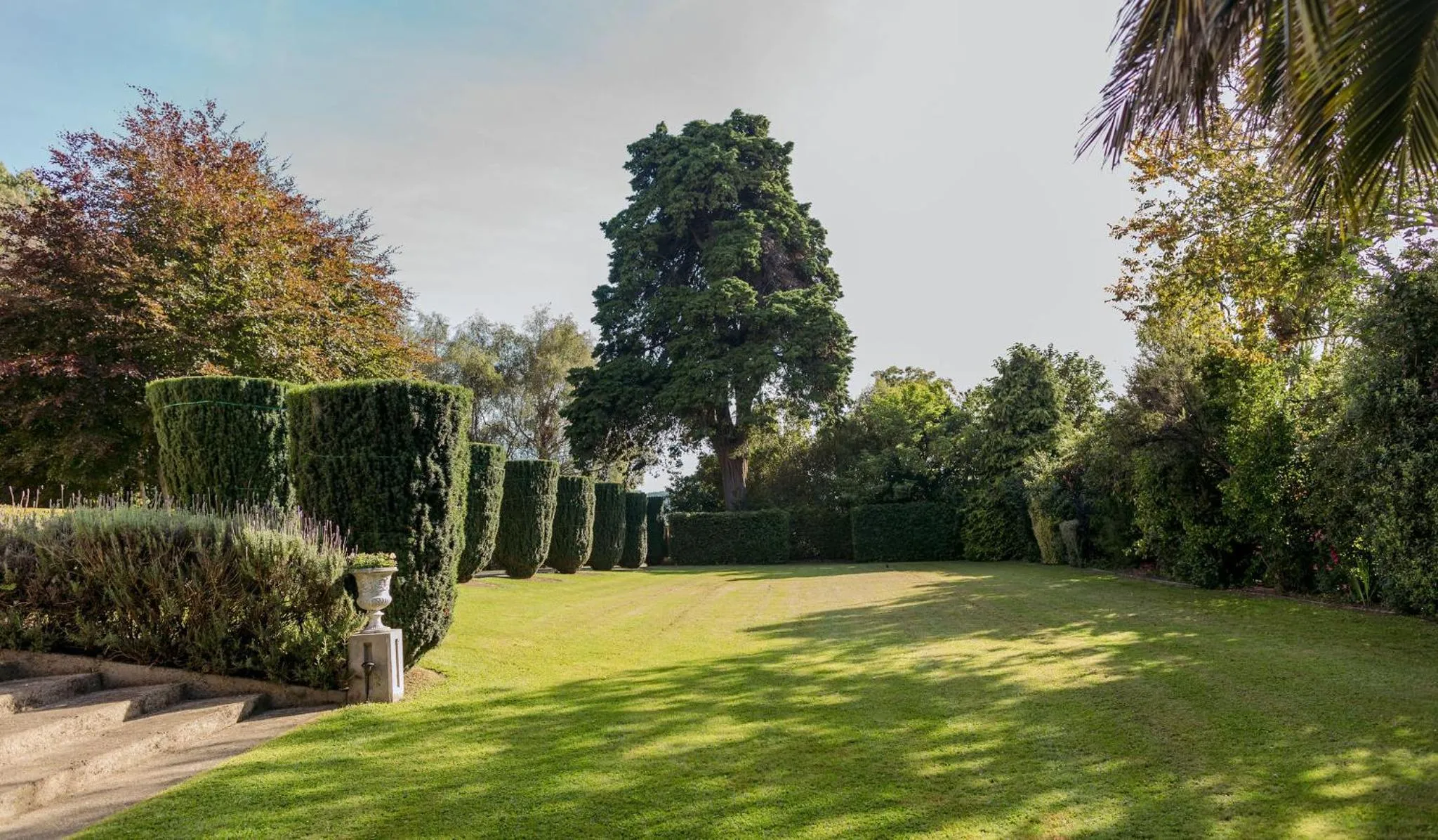 Garden in Casa Nova House