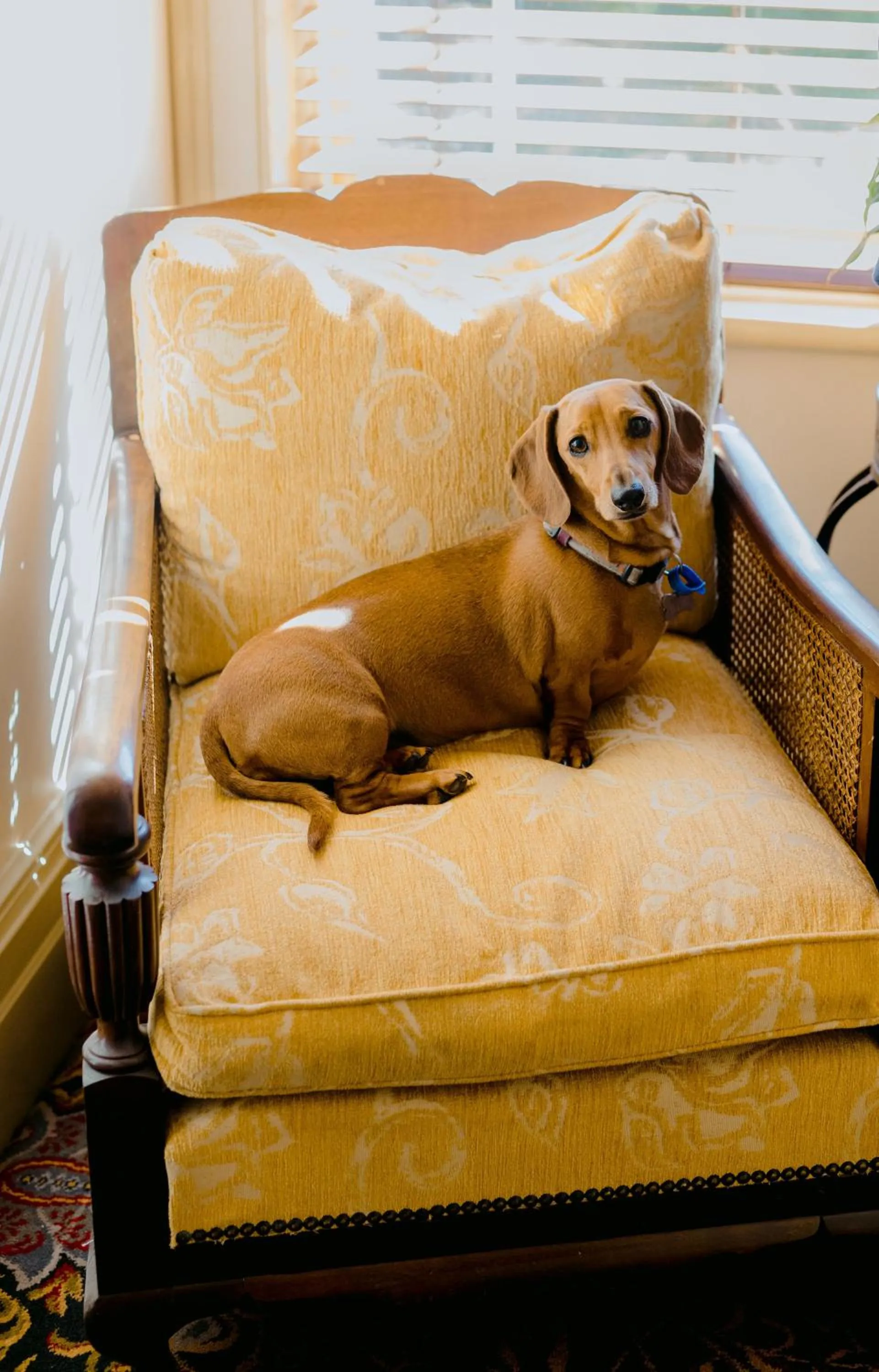 Staff in Casa Nova House