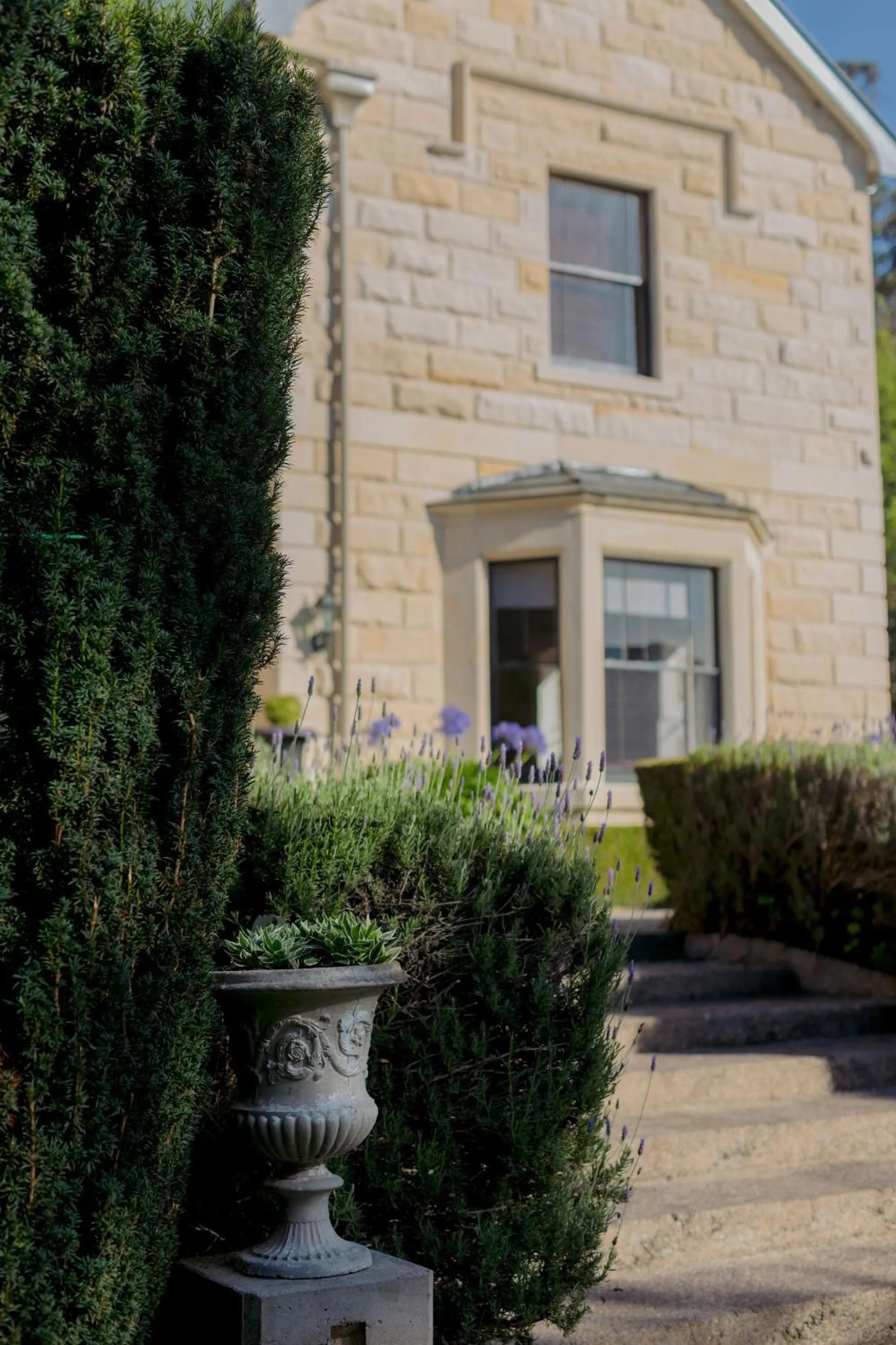 Property building in Casa Nova House