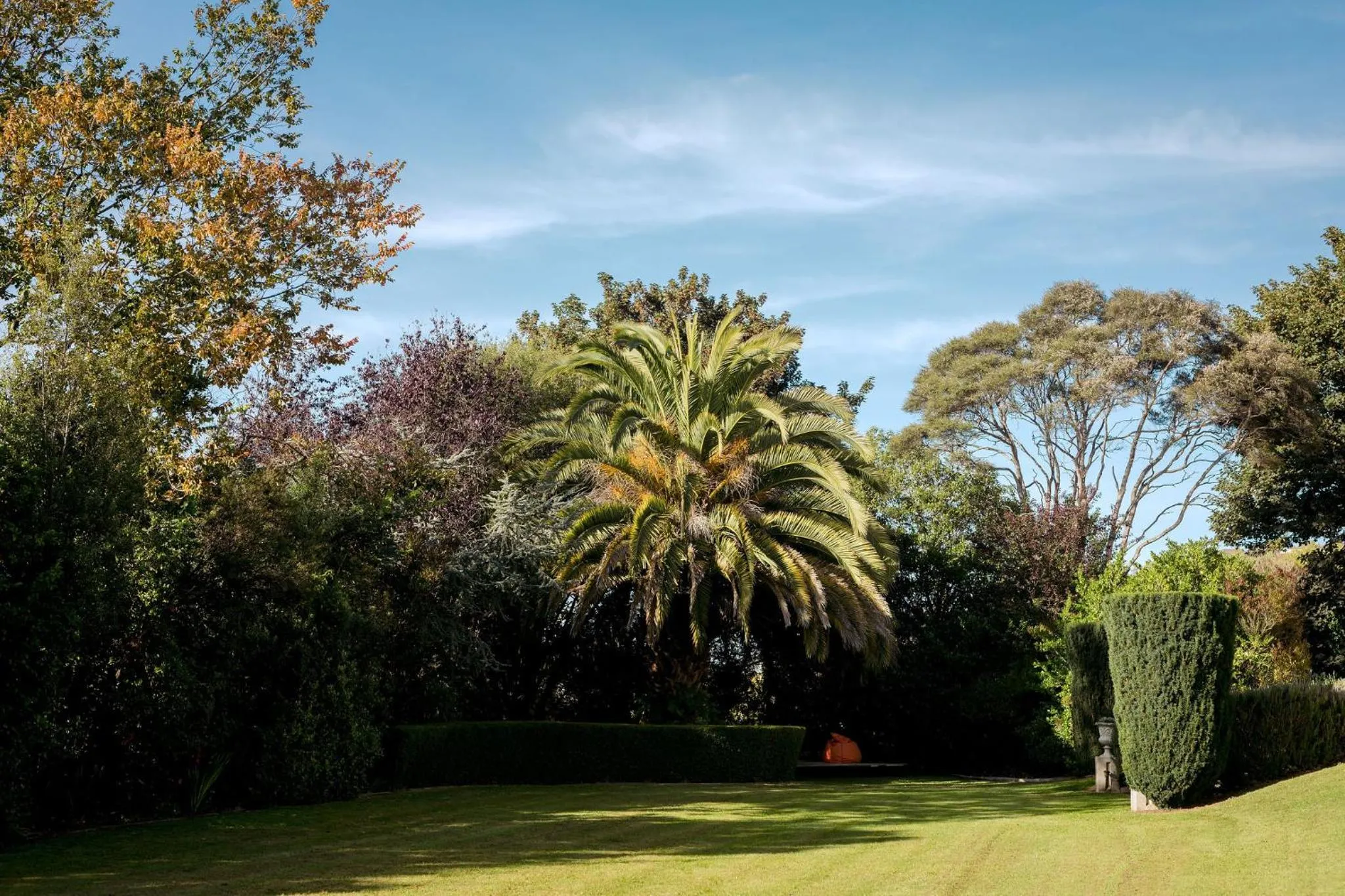 Garden in Casa Nova House