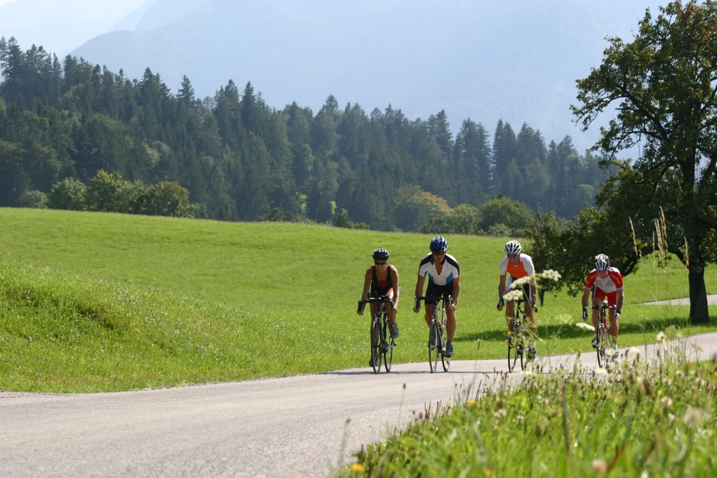 Cycling in Hotel.Pension.Golingen