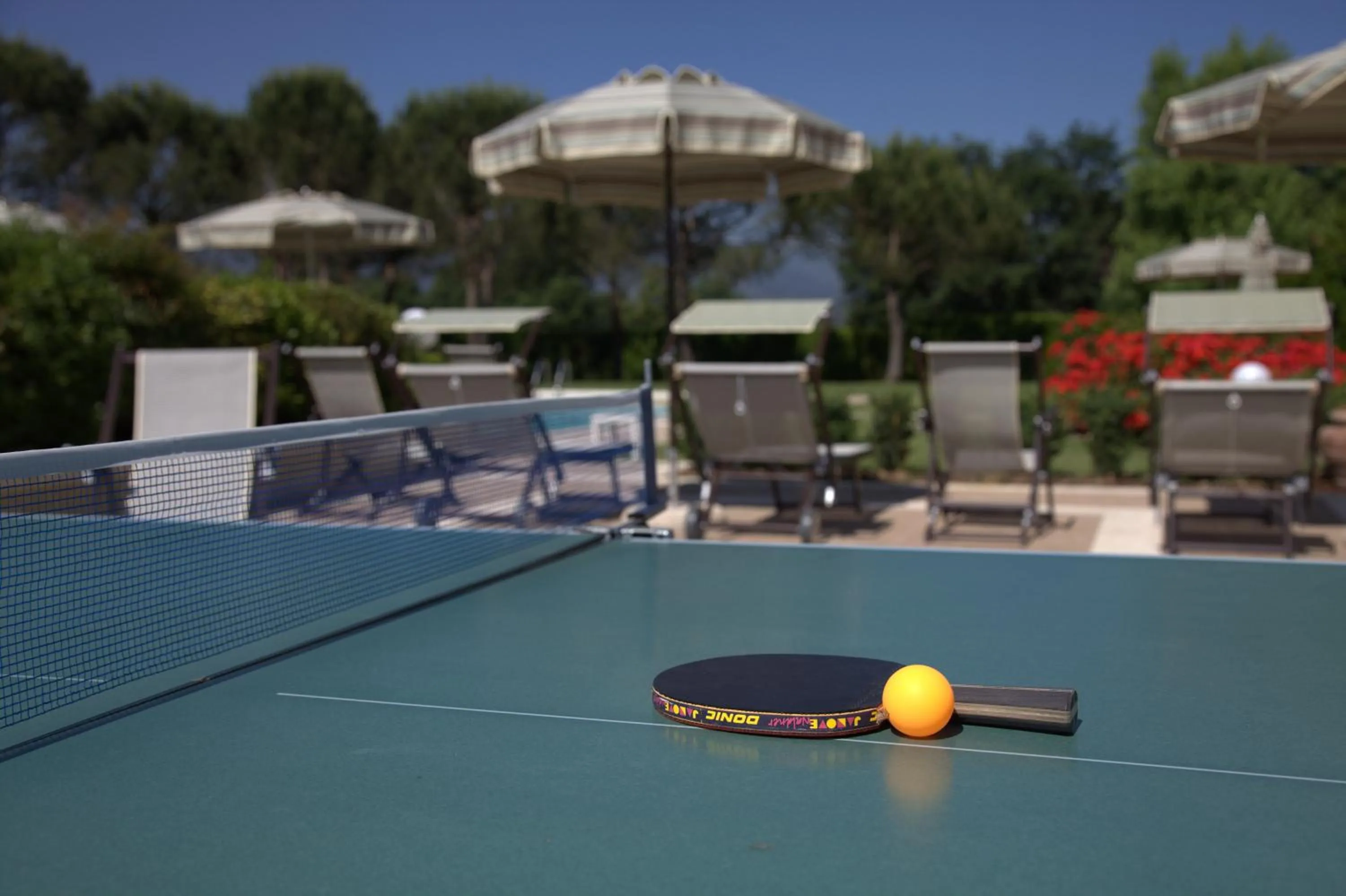 Table tennis in Villa Colombai