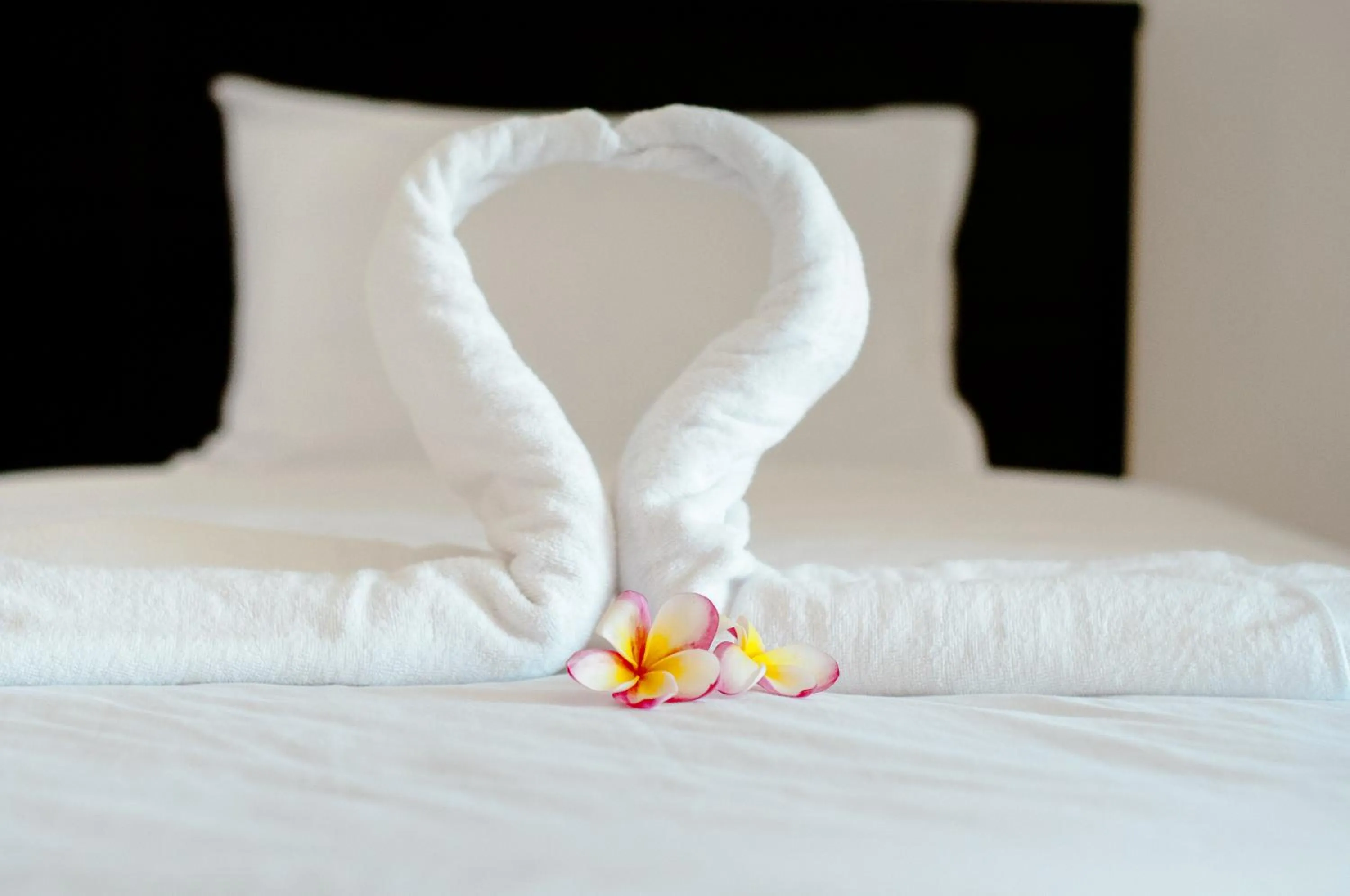 Bed in วรรณ เพลส Won Place