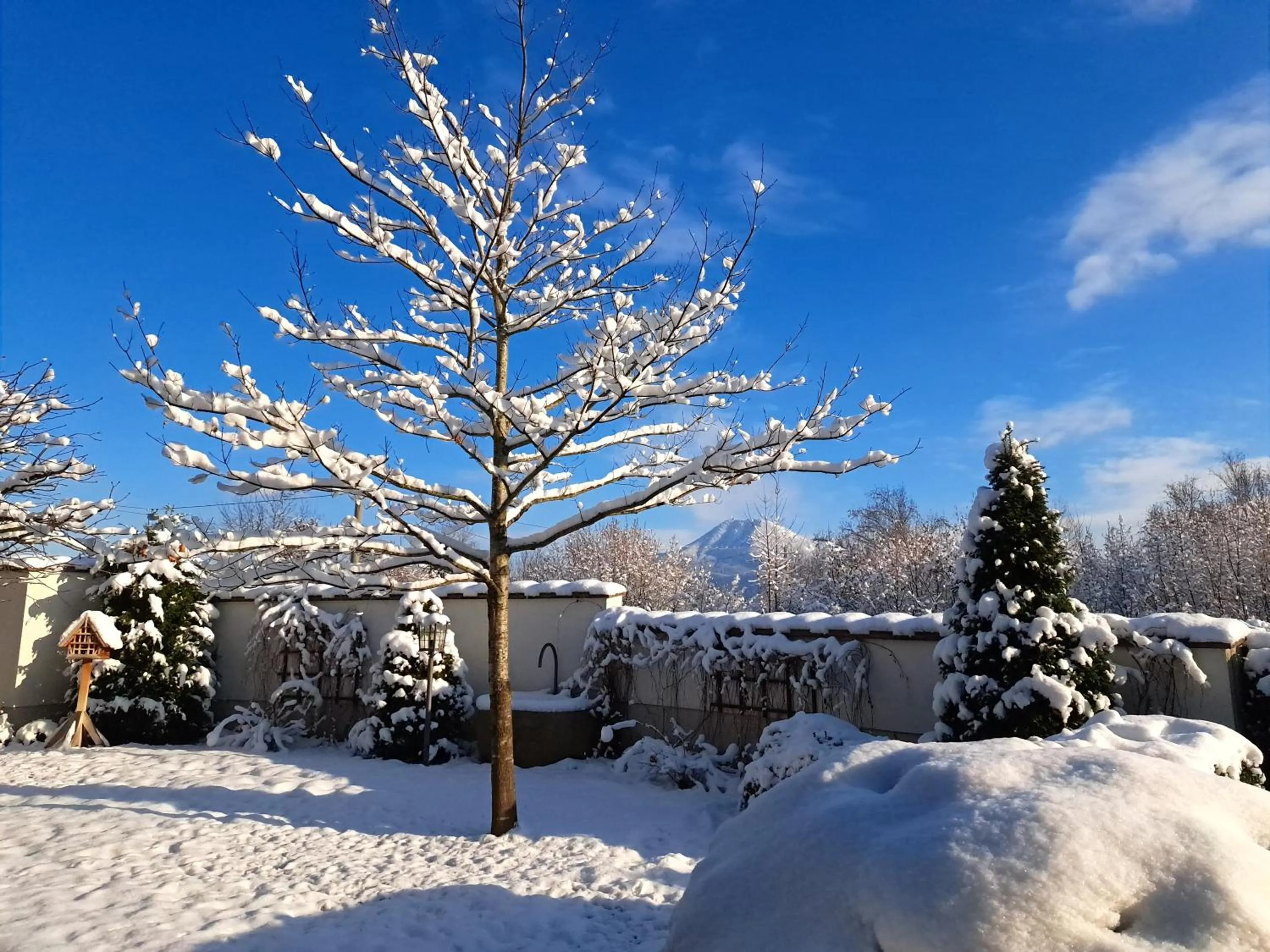 Property building in Hotel Gasthof Brandstätter