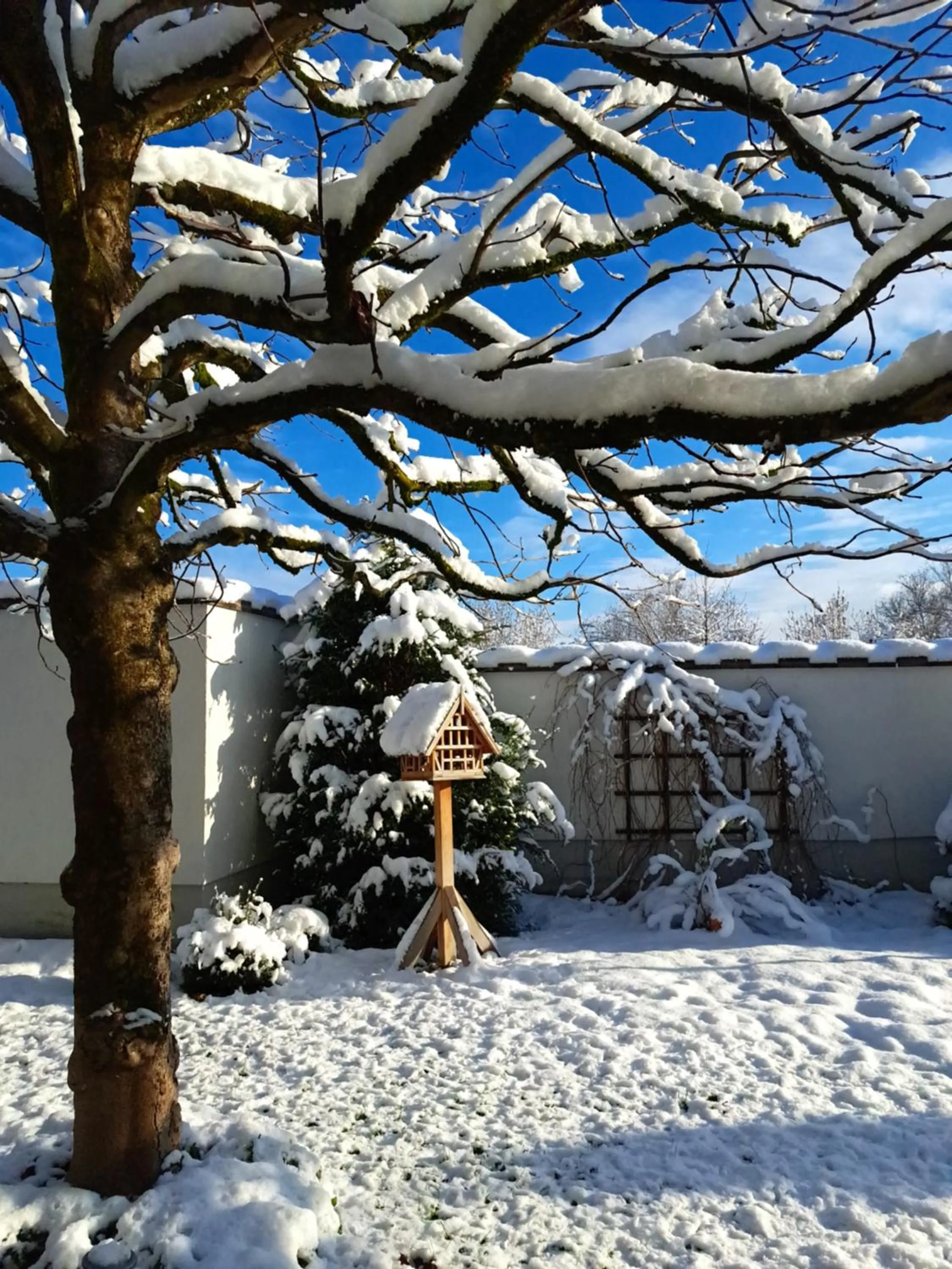 Property building in Hotel Gasthof Brandstätter