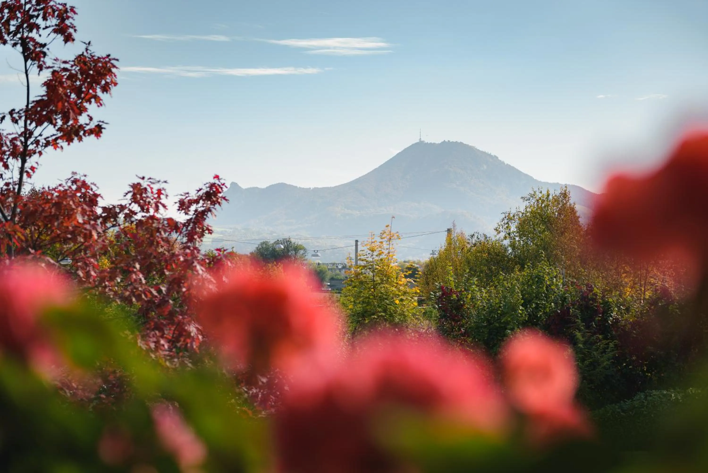 View (from property/room) in Hotel Gasthof Brandstätter