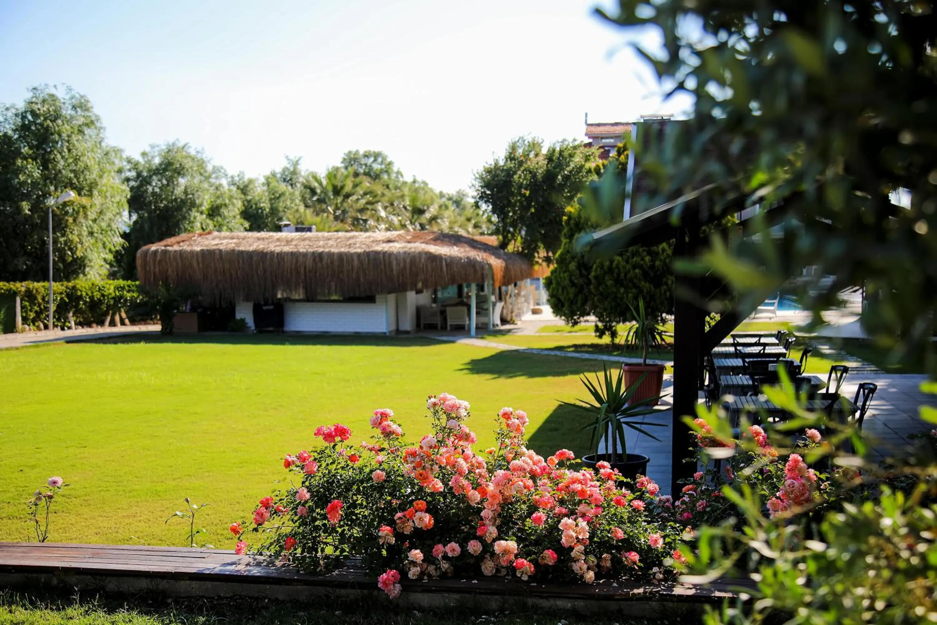 Garden in Enki Suess Alaçatı