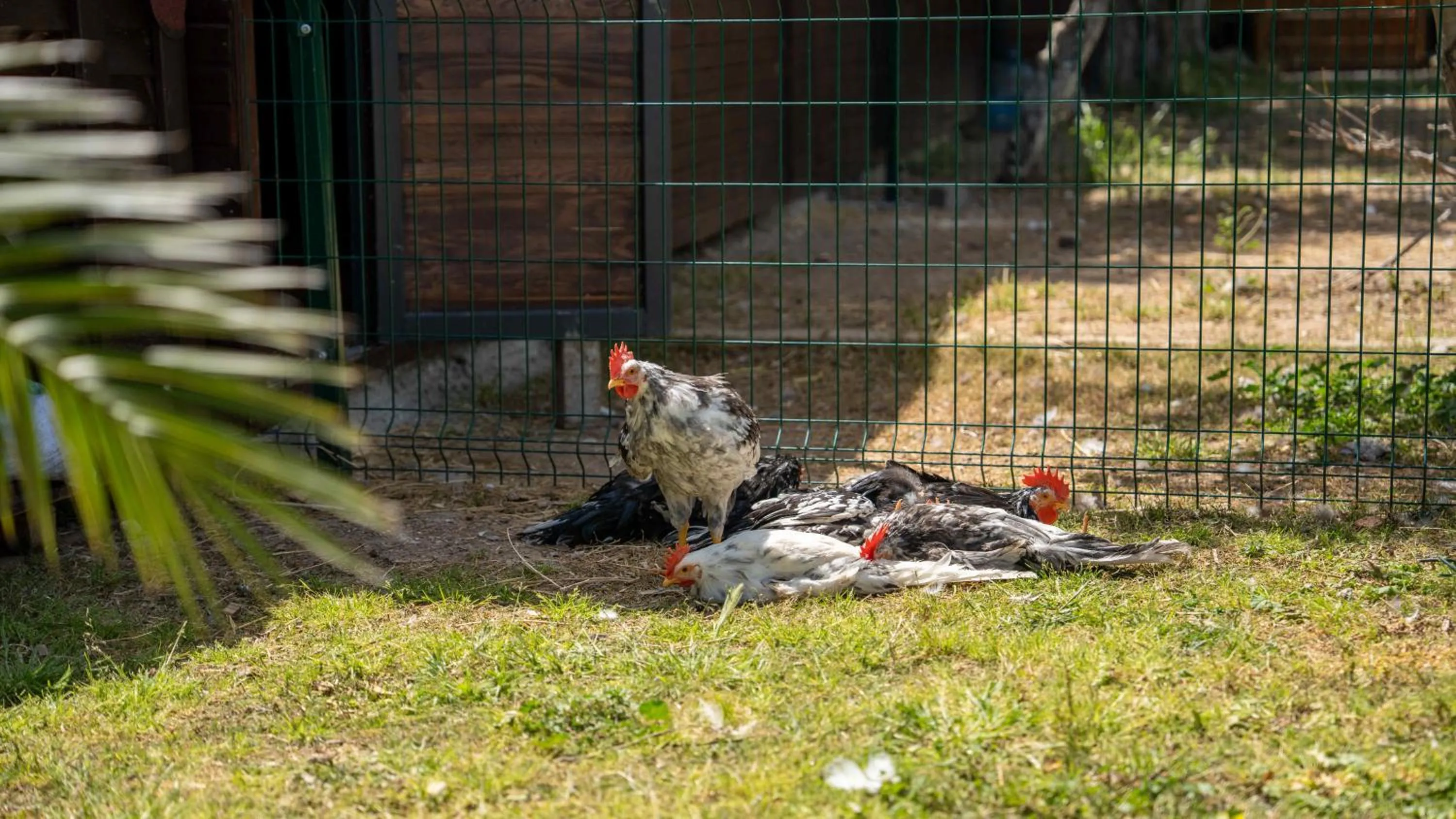 Garden in Enki Suess Alaçatı