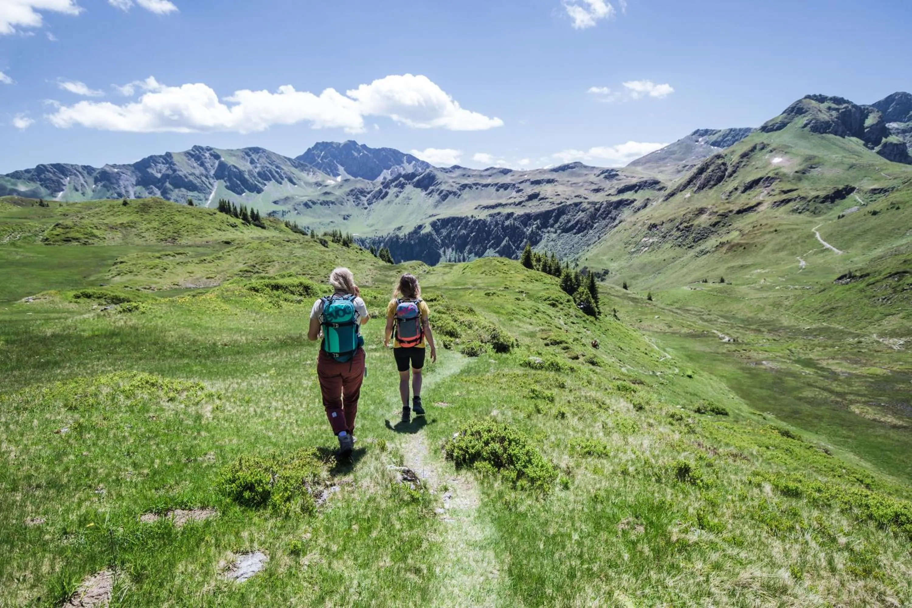 Natural landscape in Hotel Glücksschmiede - Hinterglemm