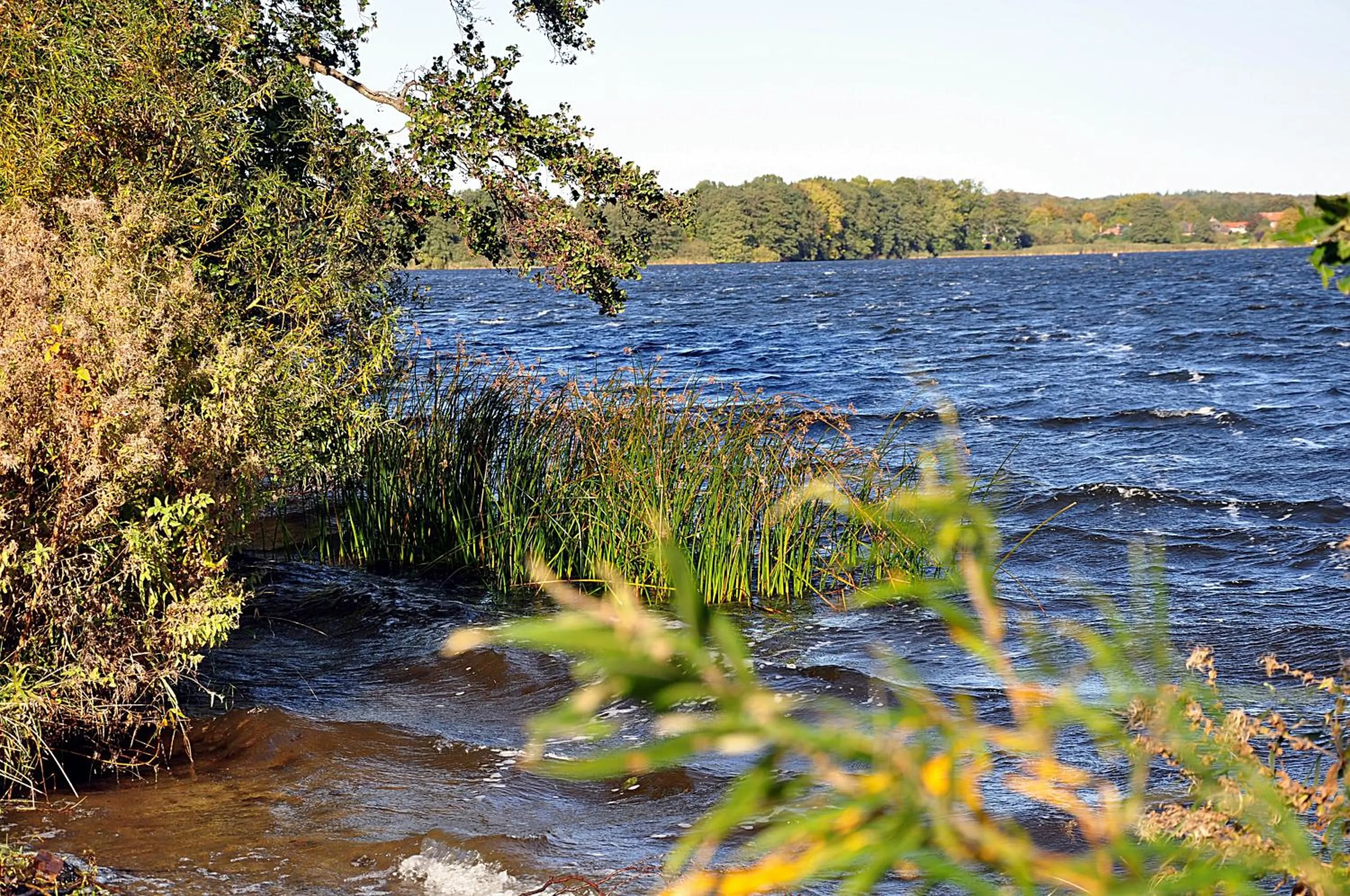 Natural landscape in Room and kitchen im Katerberg