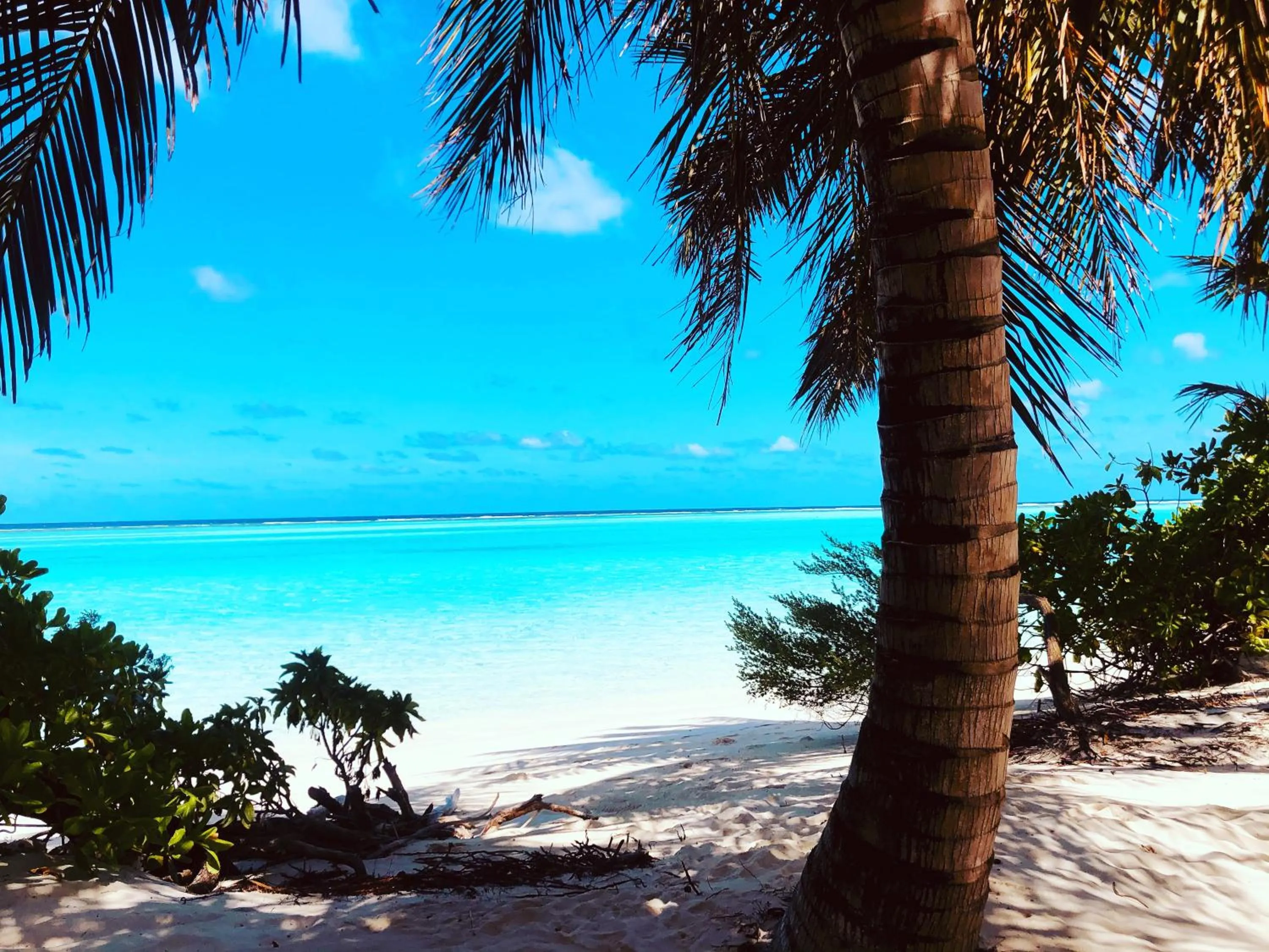 Natural landscape in Dacha Thoddoo