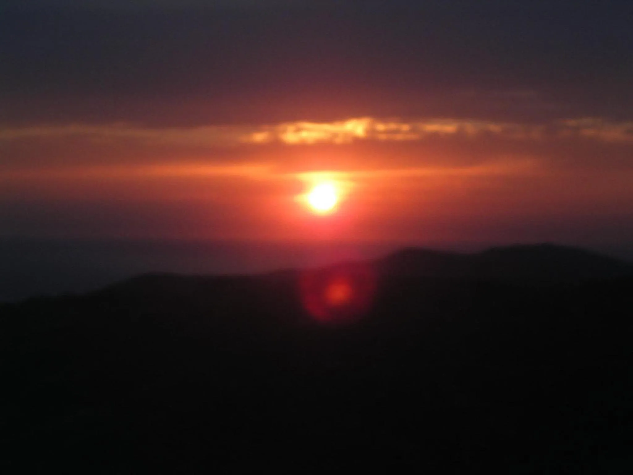 View (from property/room) in Cilento