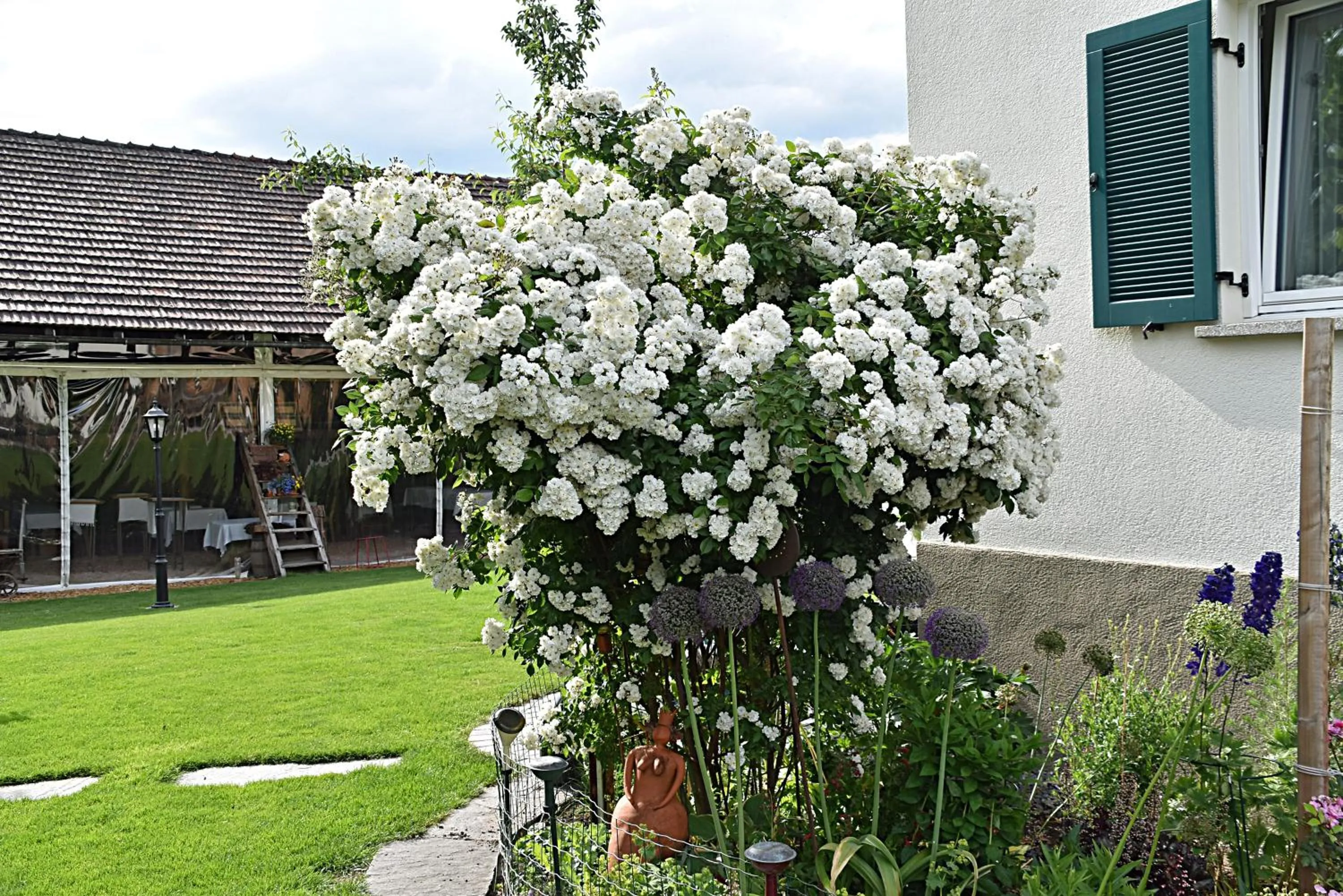 Garden in Hotel Restaurant Mohren
