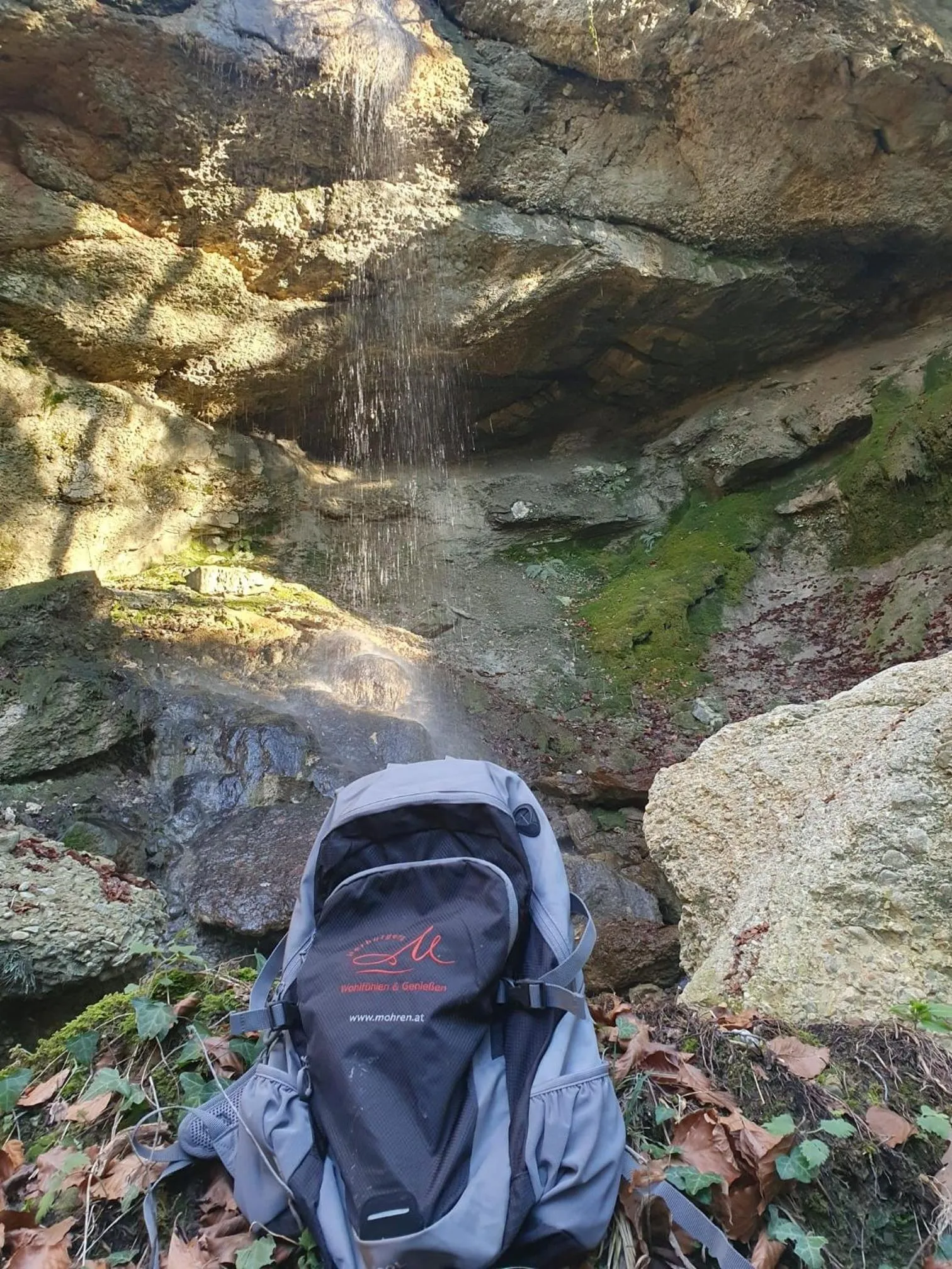 Hiking in Hotel Restaurant Mohren