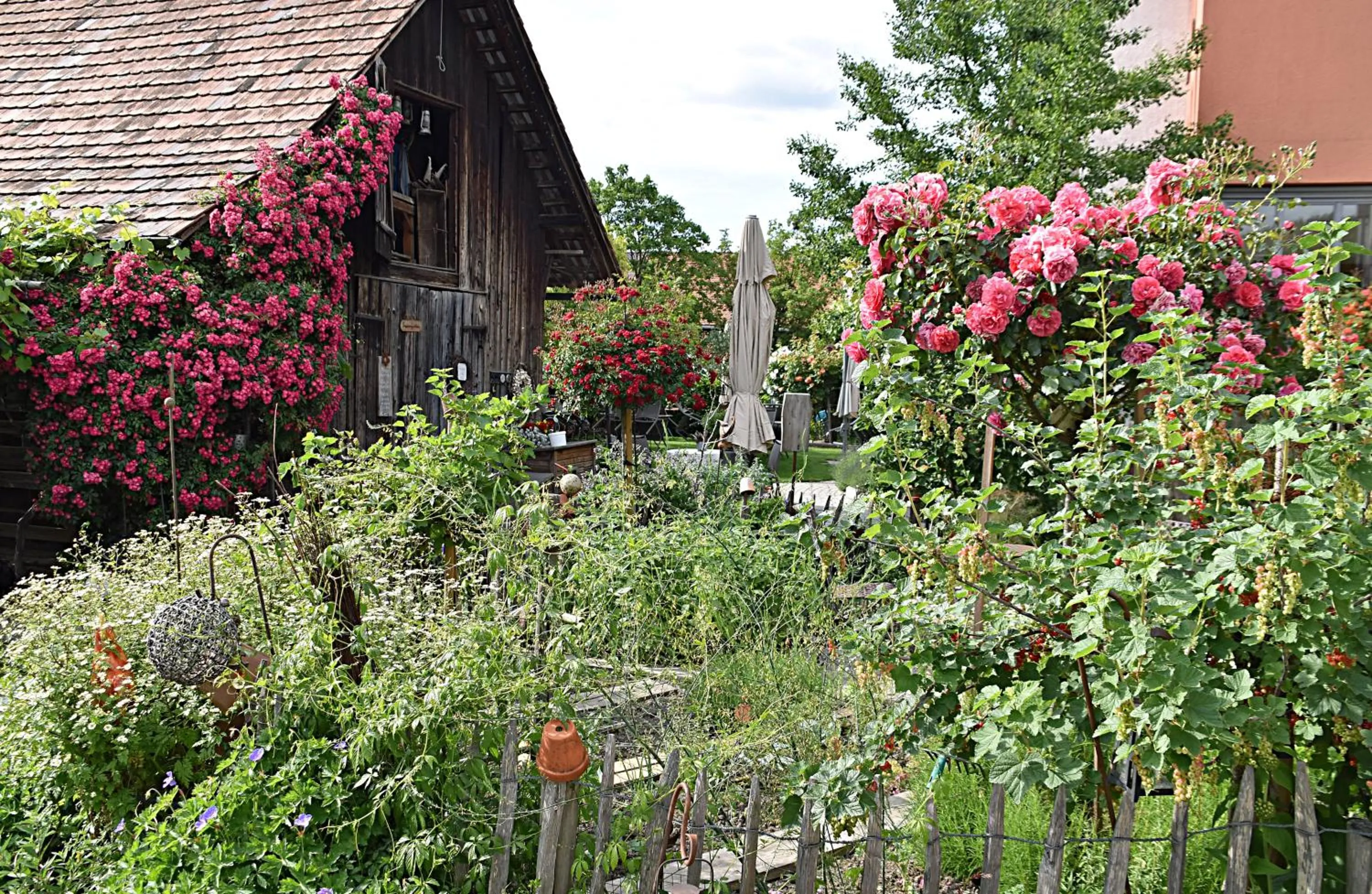 Garden in Hotel Restaurant Mohren