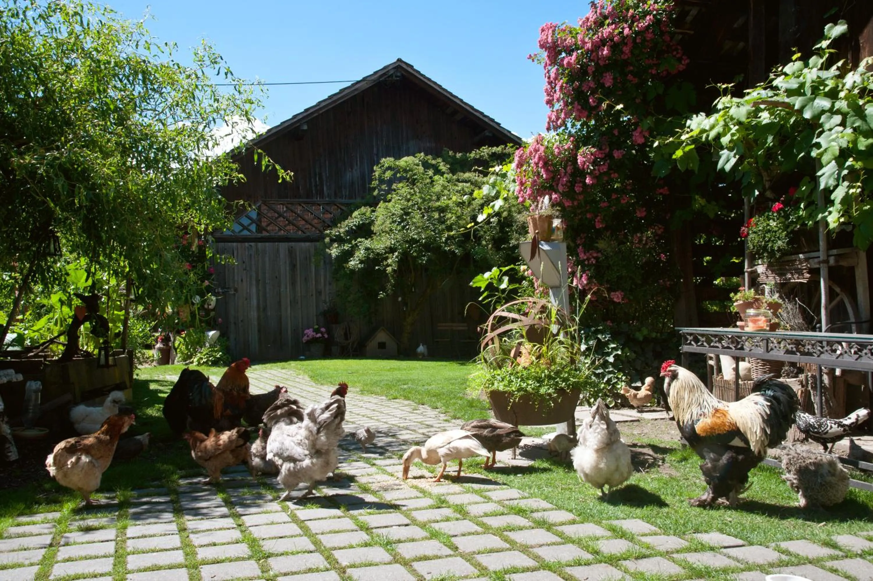 Garden in Hotel Restaurant Mohren