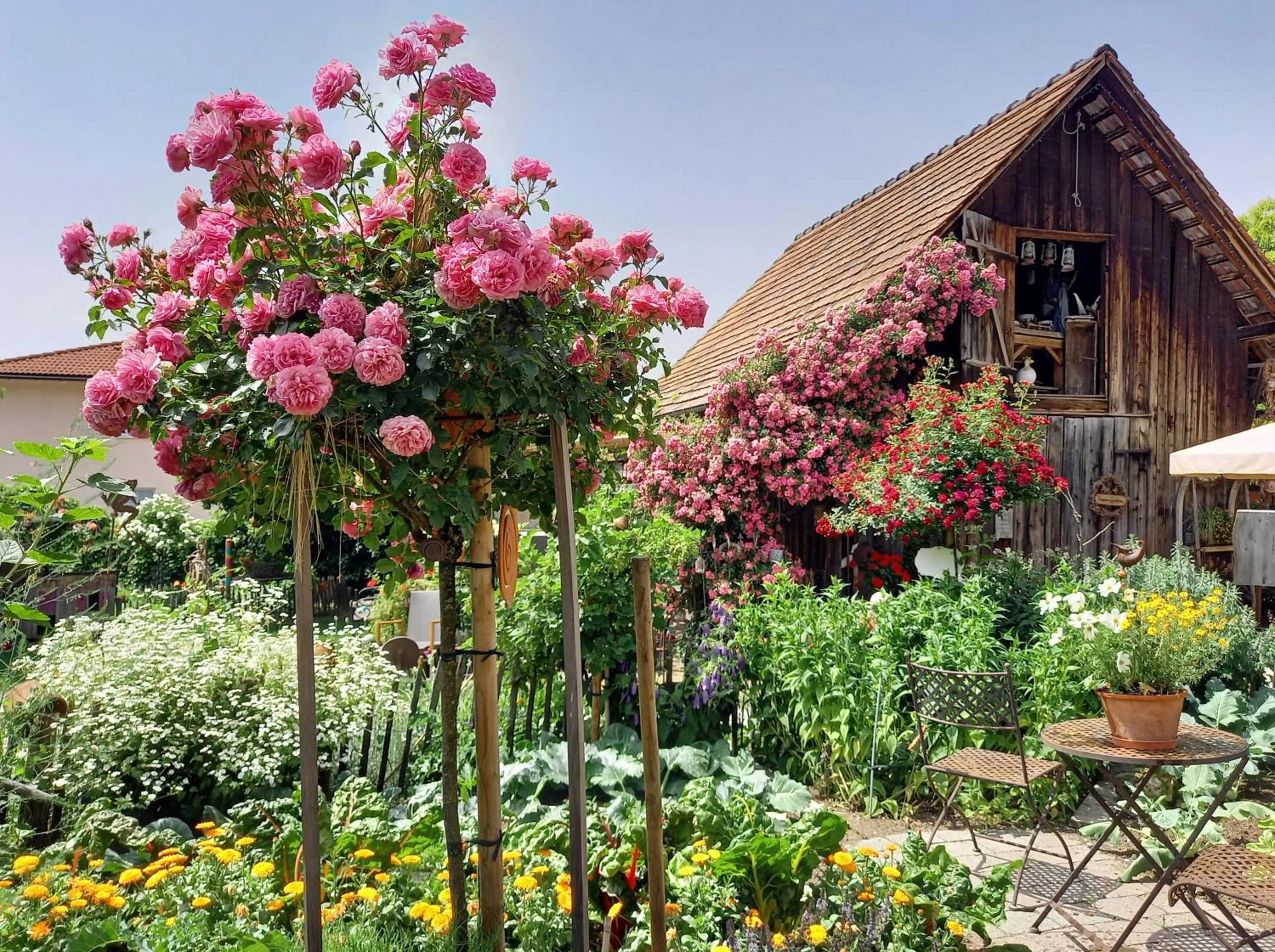 Garden in Hotel Restaurant Mohren