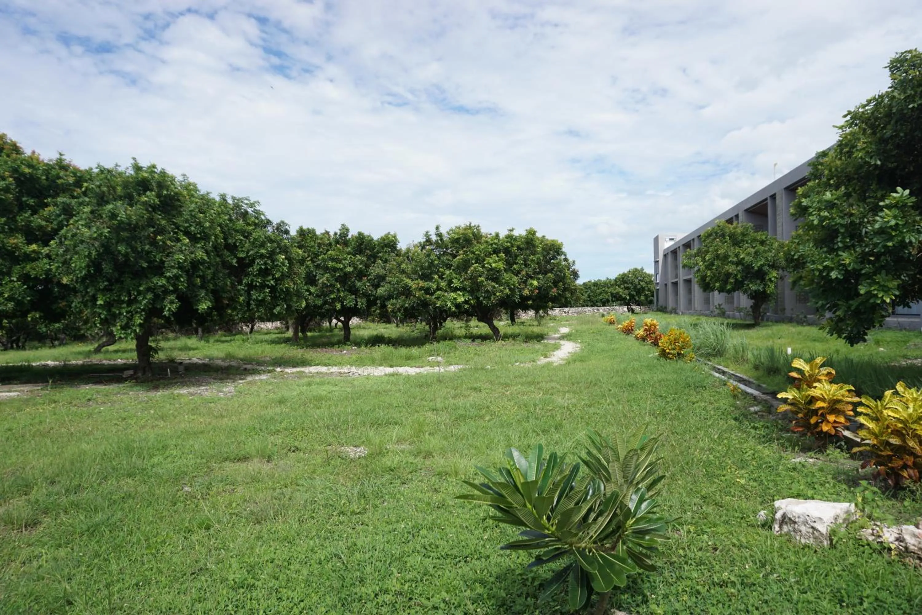 Garden in Kambaniru Beach Hotel and Resort