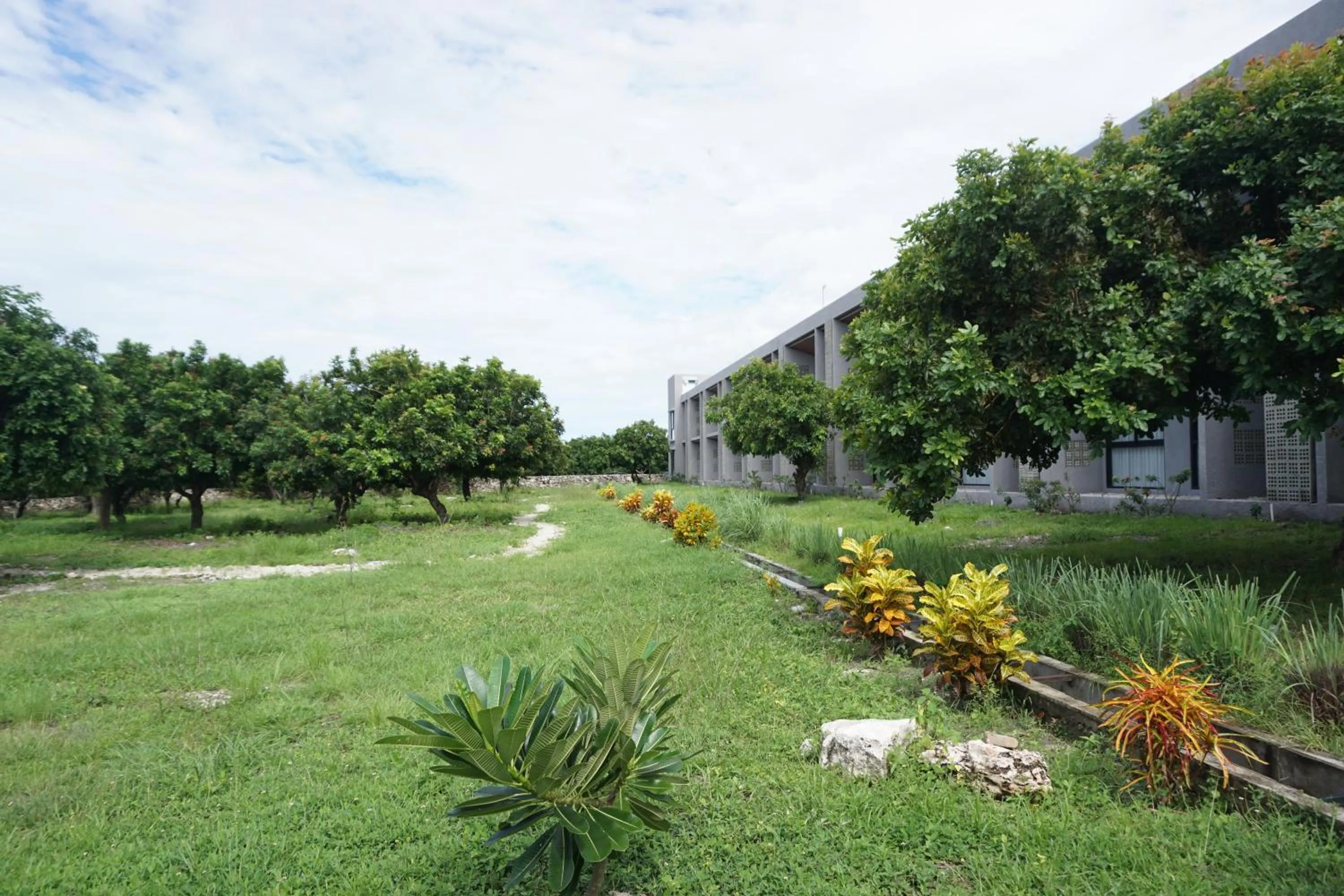 Garden in Kambaniru Beach Hotel and Resort