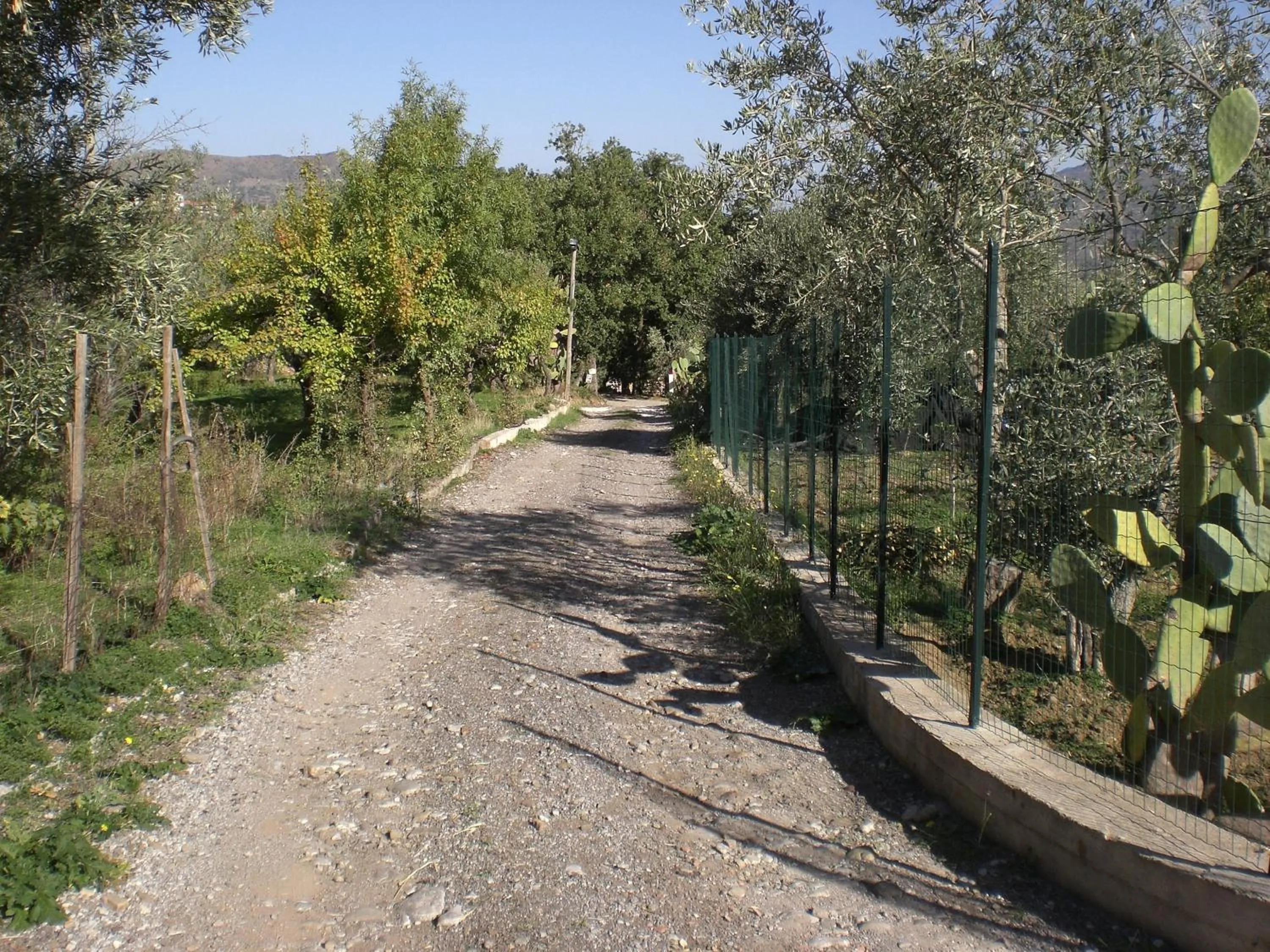 Area and facilities in B&B Villa Calagioli