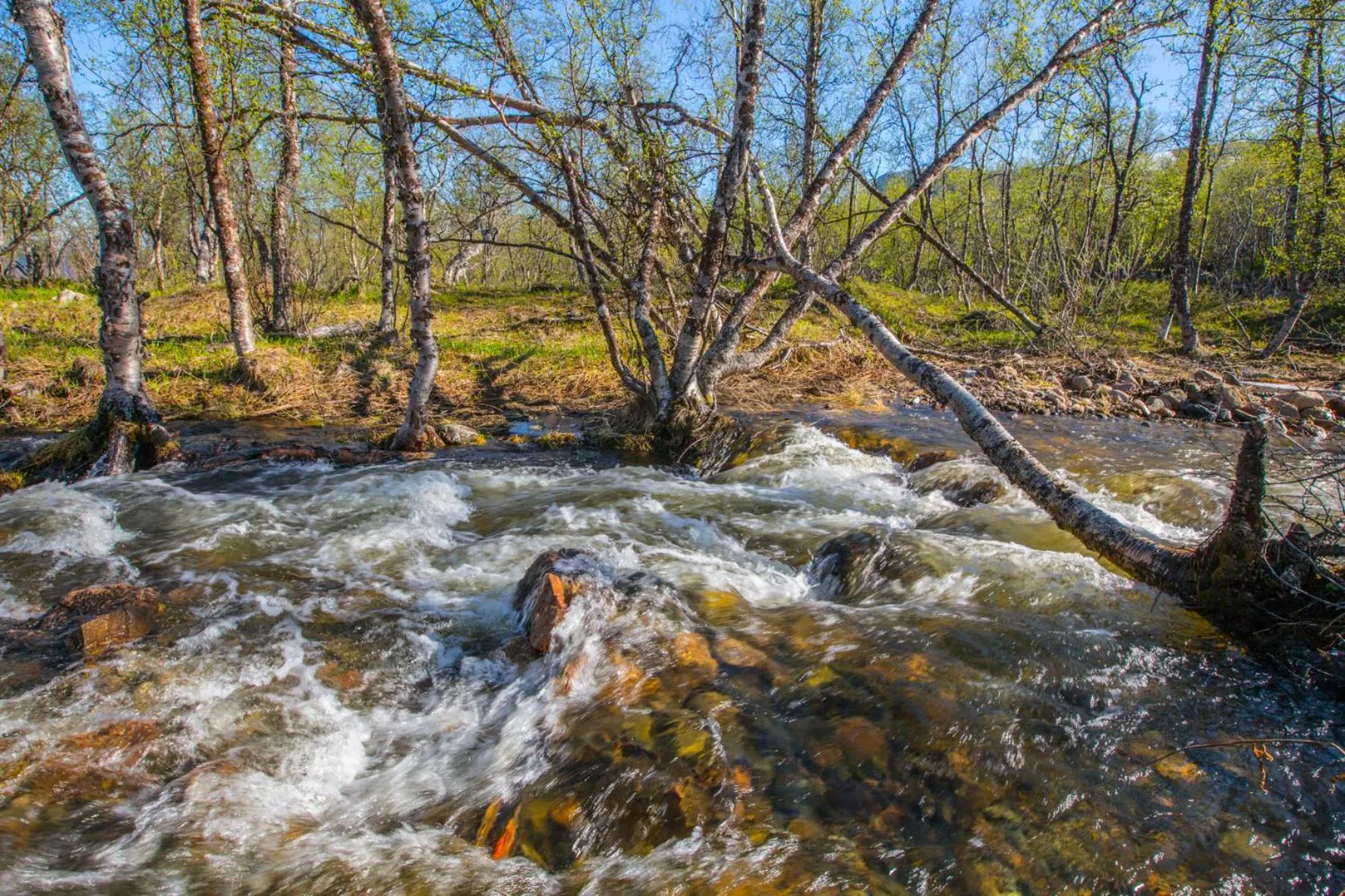 Other in Abisko Guesthouse & Activities