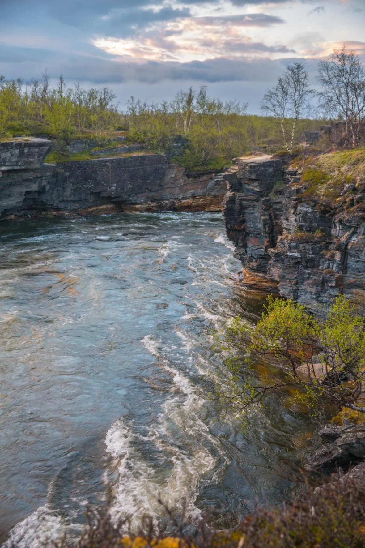 Other in Abisko Guesthouse & Activities