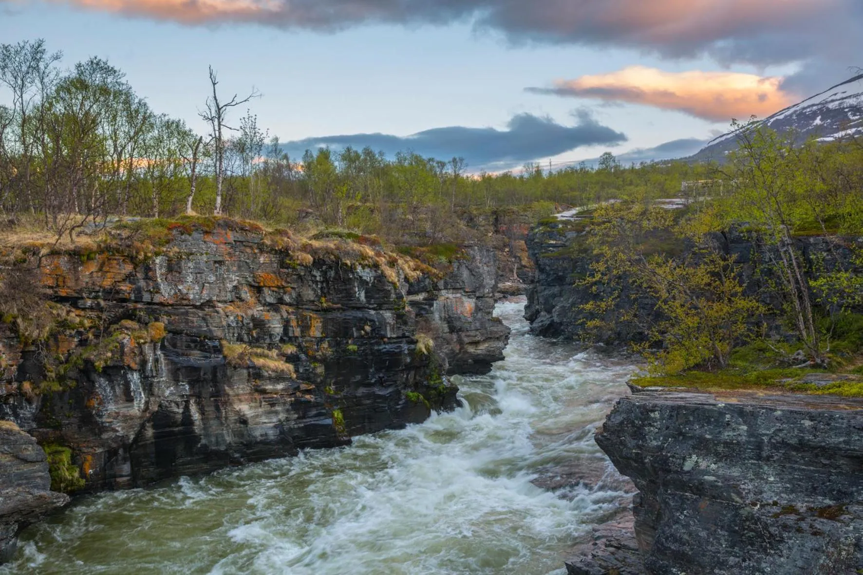 Summer in Abisko Guesthouse & Activities
