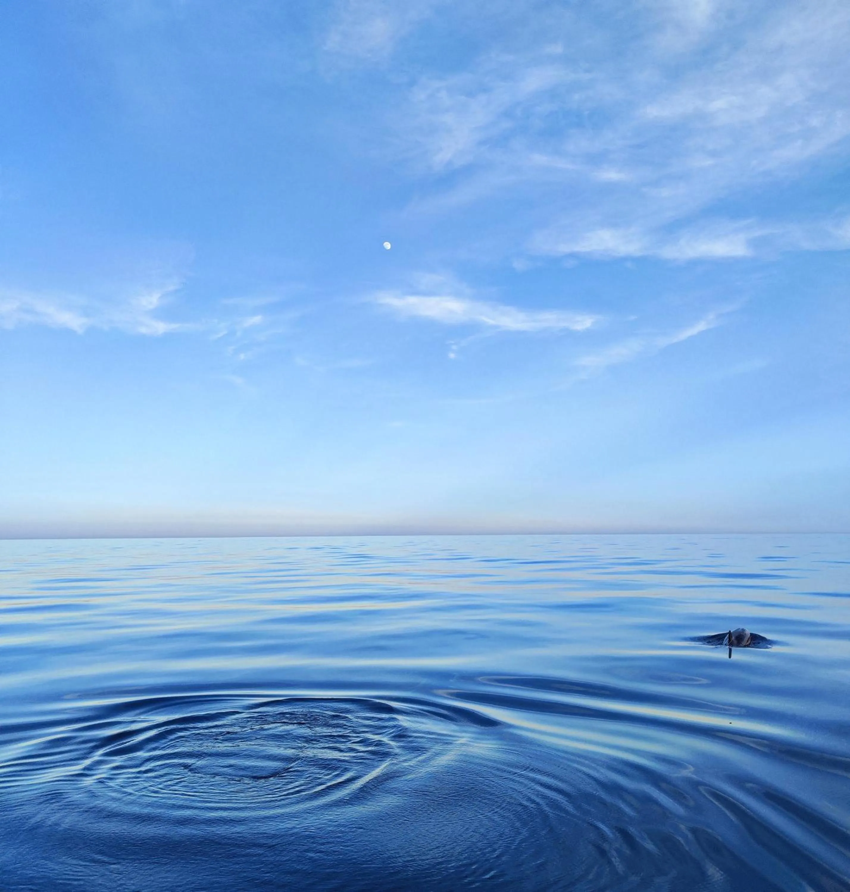 Natural landscape in Made in Sicily Santa Tecla