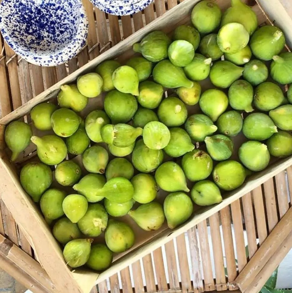 Food in Made in Sicily Santa Tecla