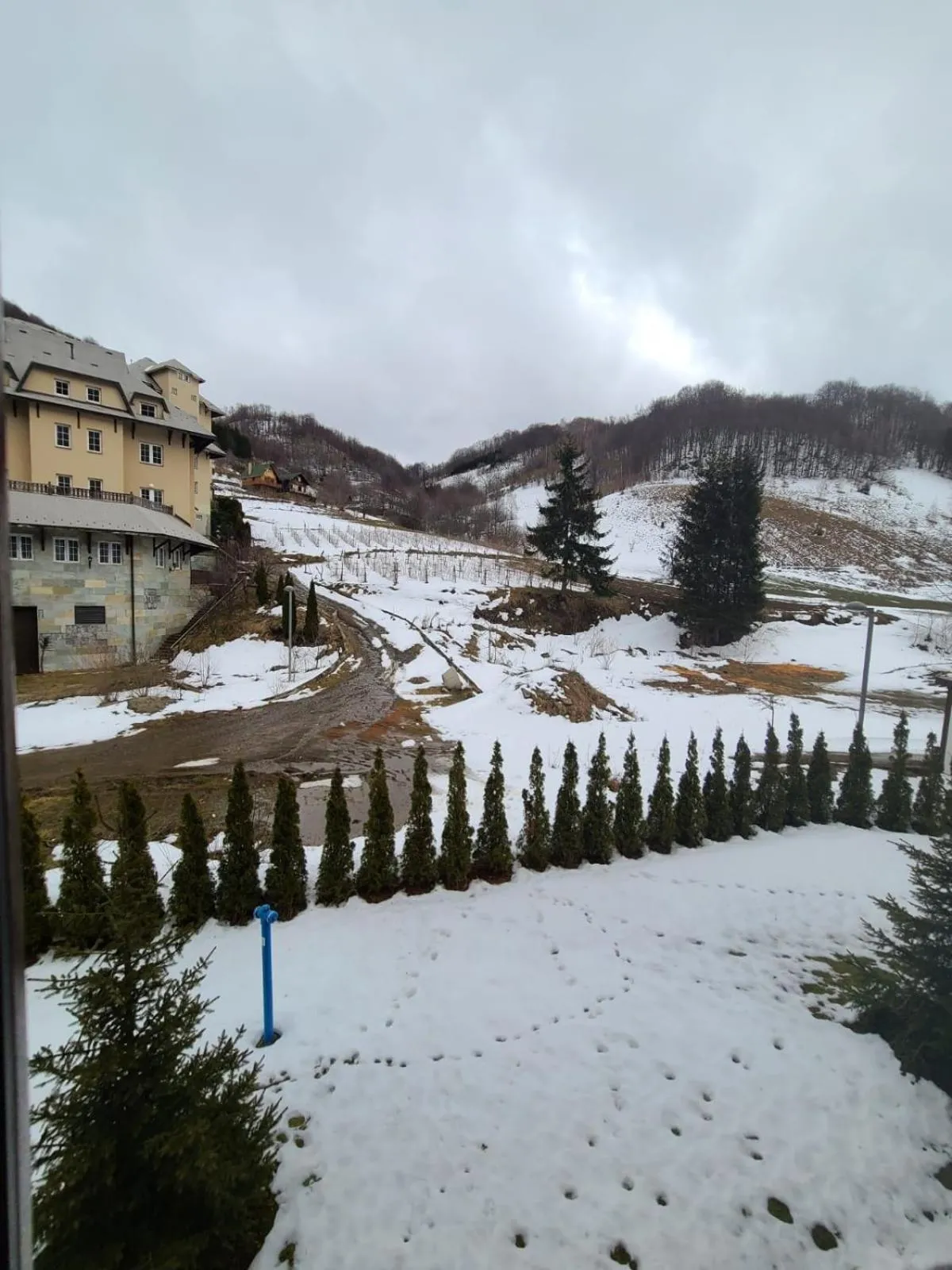 BELI VUK - Brzeće, Kopaonik