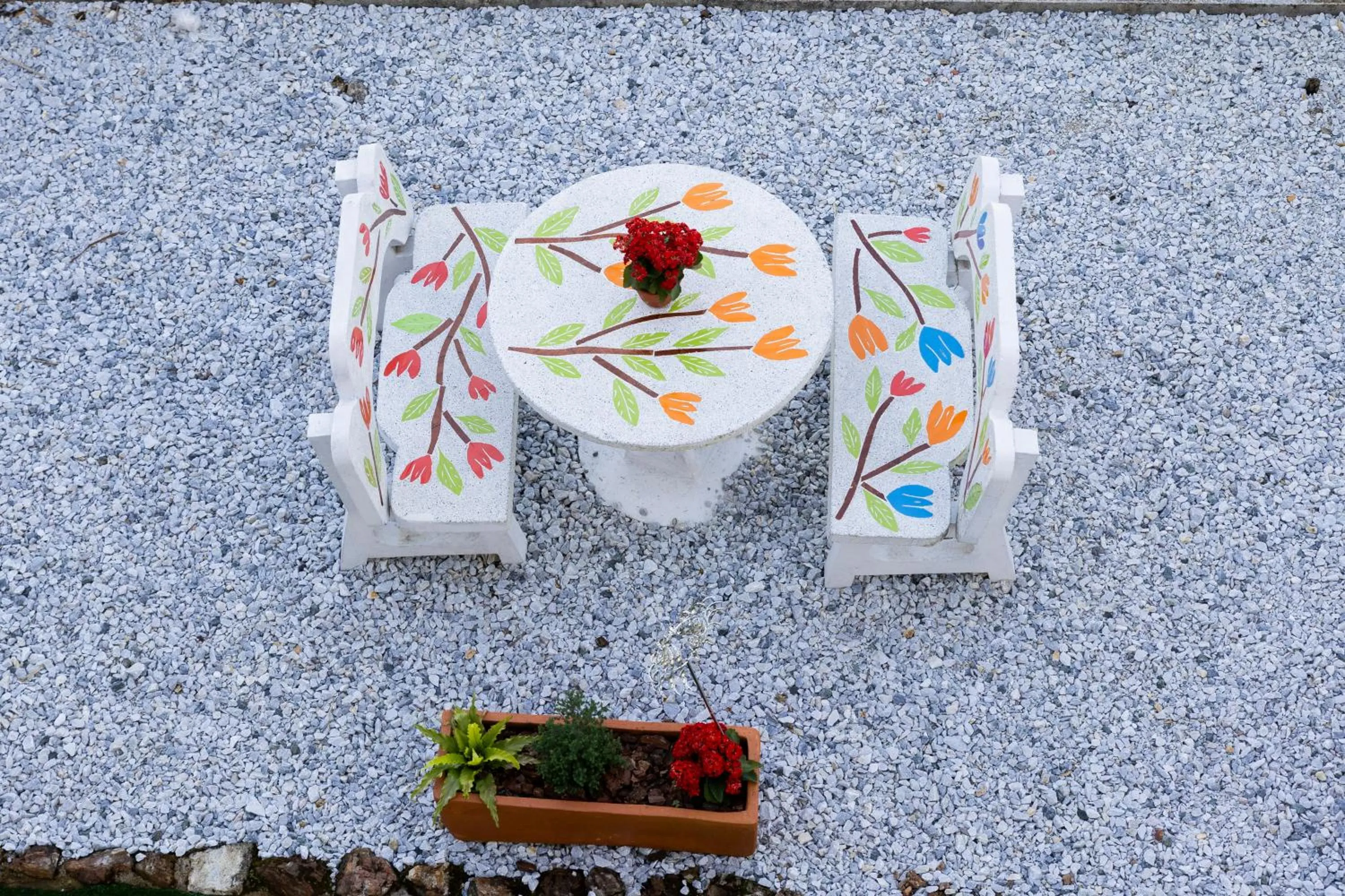 Garden view in Hotel Bahia Del Faro