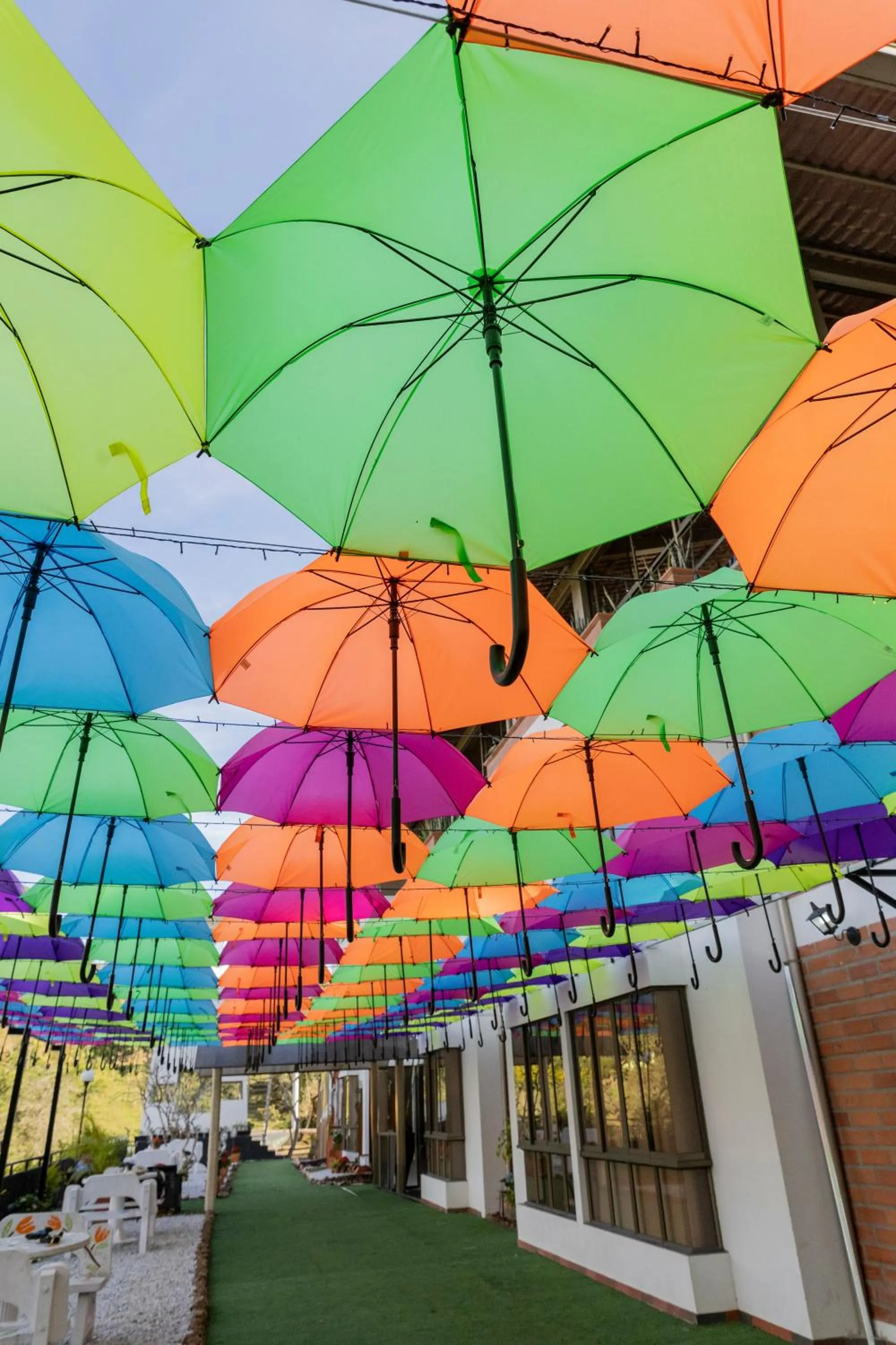 Hotel Bahia Del Faro