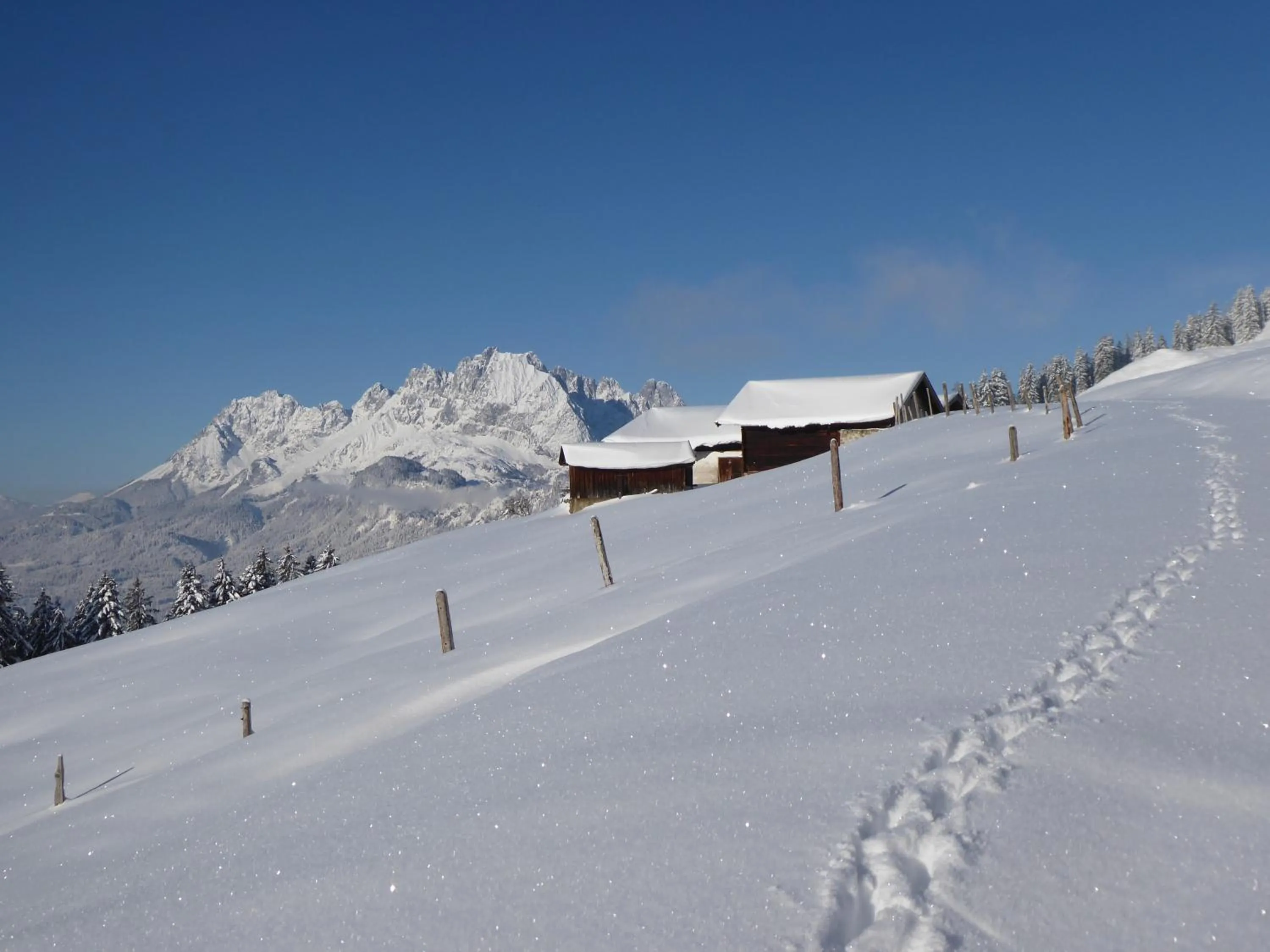 Natural landscape in Hotel Bruggwirt