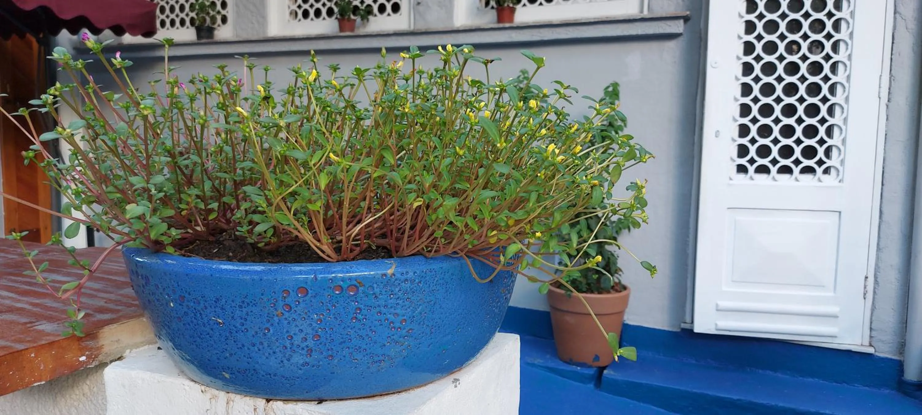 Lounge or bar in Hostel Leblon