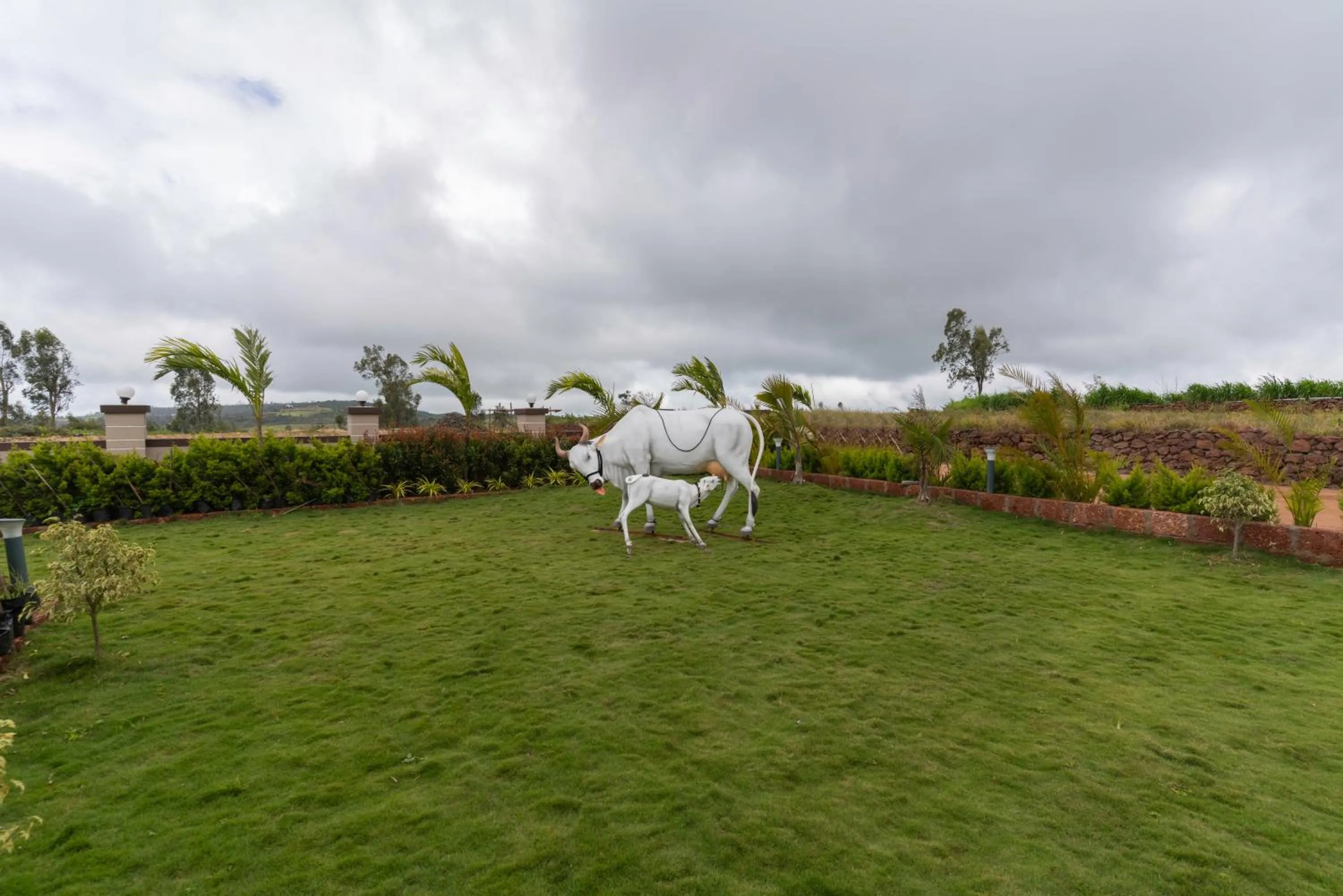 Garden in Blizzard Resort