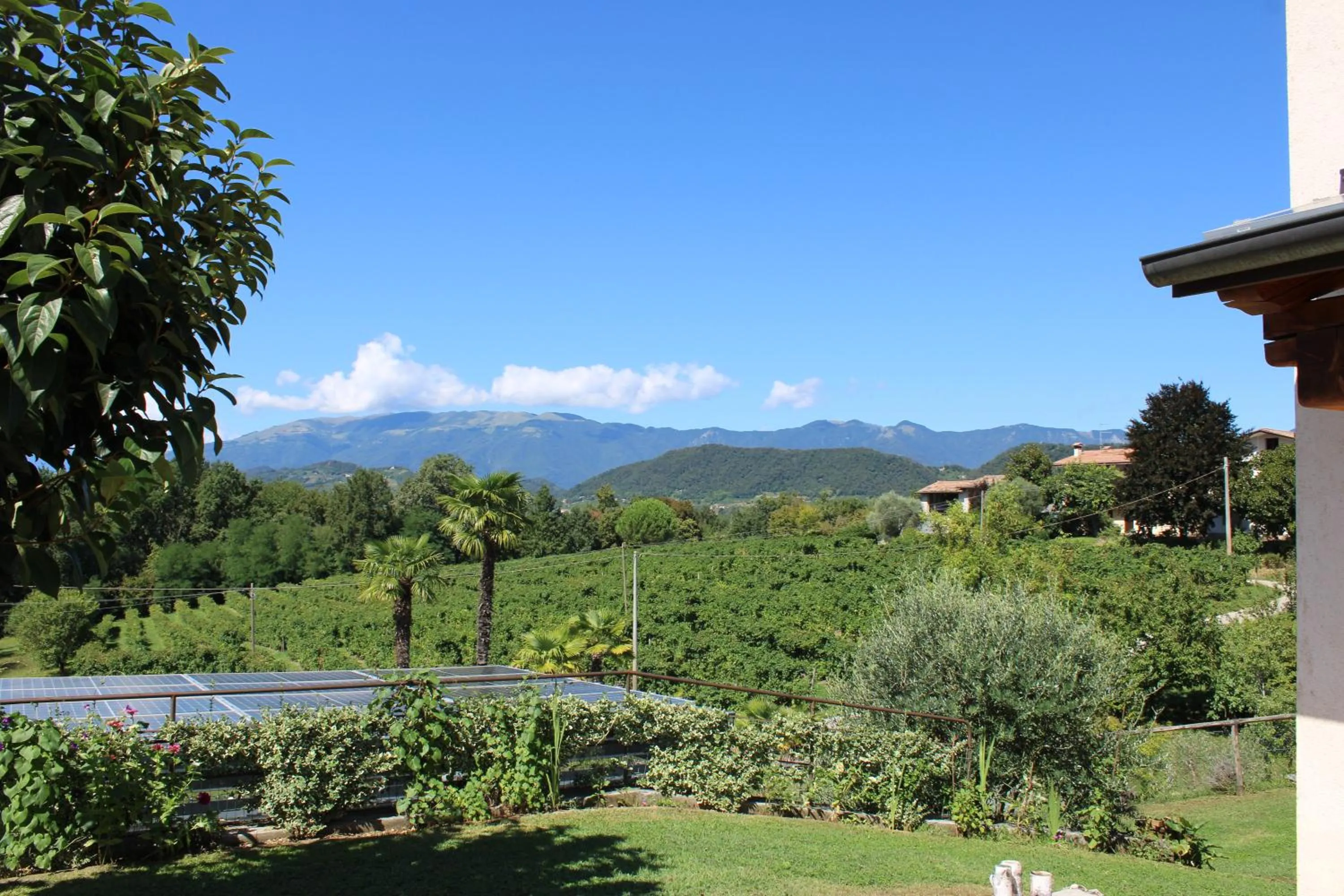 Natural landscape in Giuliva B&B