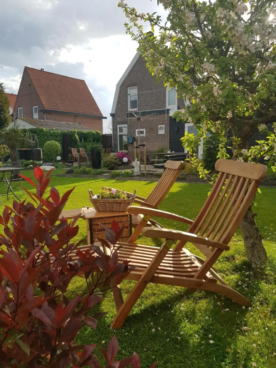 Garden in B&B WELKOM Zierikzee