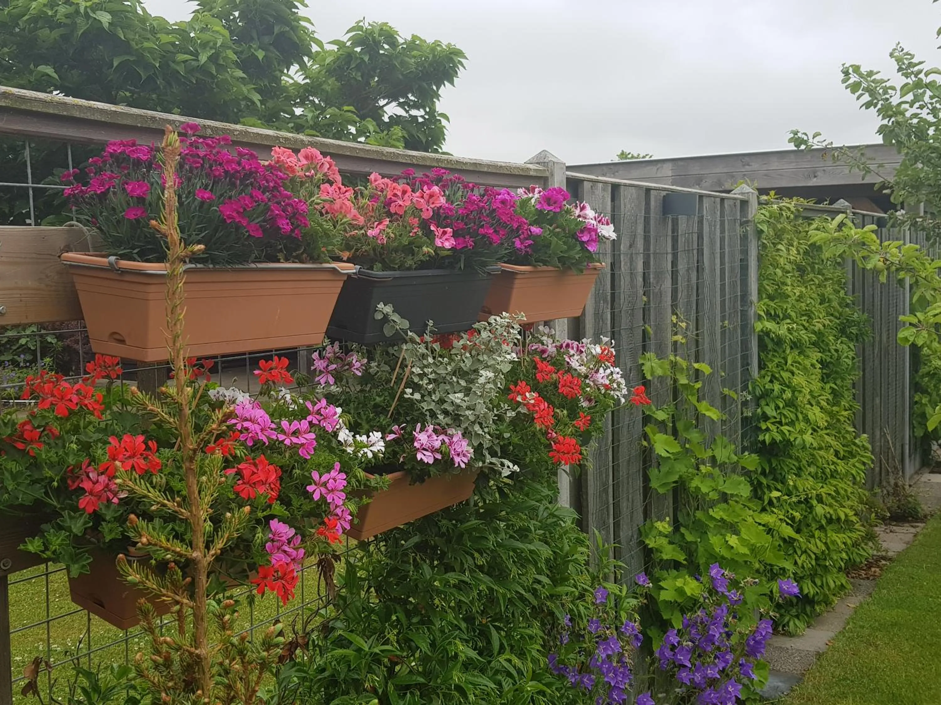 Garden in B&B WELKOM Zierikzee