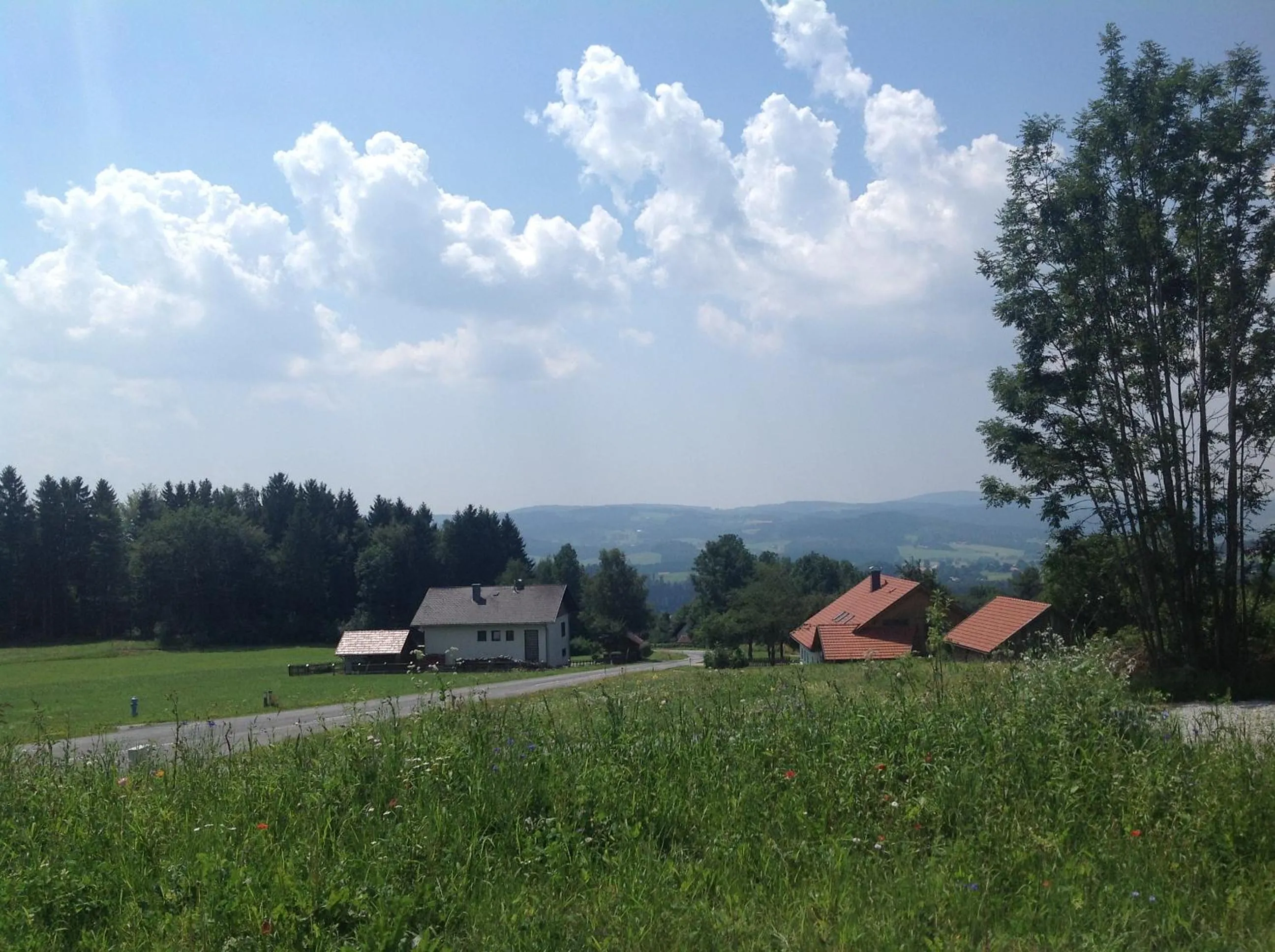 View (from property/room) in Ferienhaus Grobauer